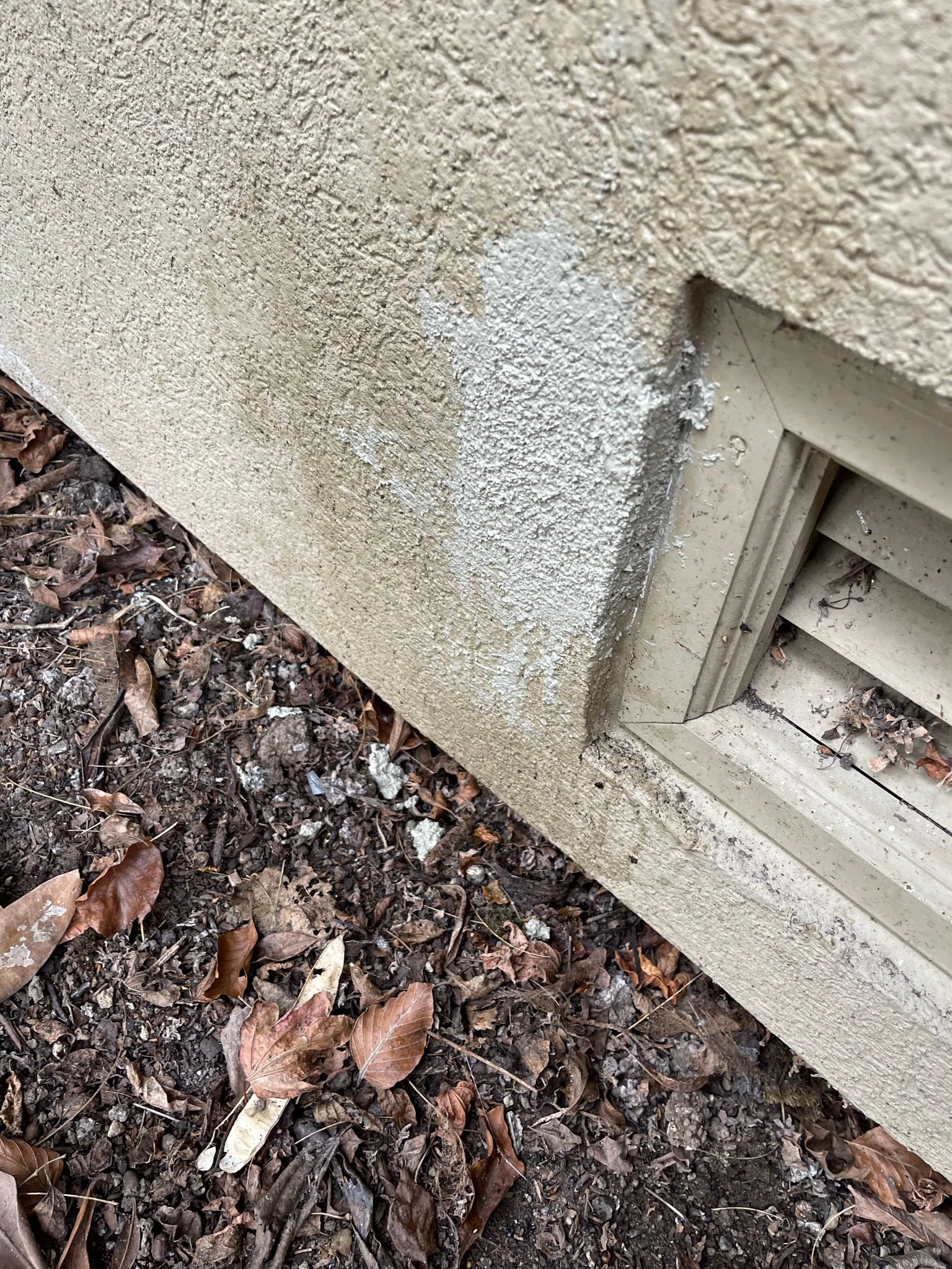  for Tony's Remodeling & Painting in Renton, WA