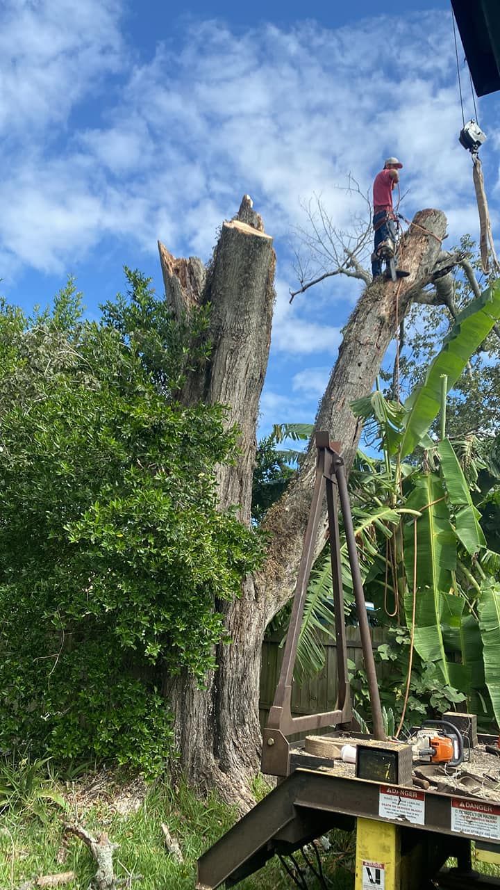  for Fast Cut Tree Service in Jacksonville Heights, FL