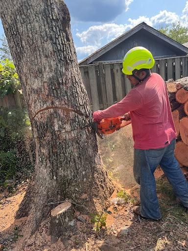  for Ricky's Tree Service & Property Care in Orange, VA