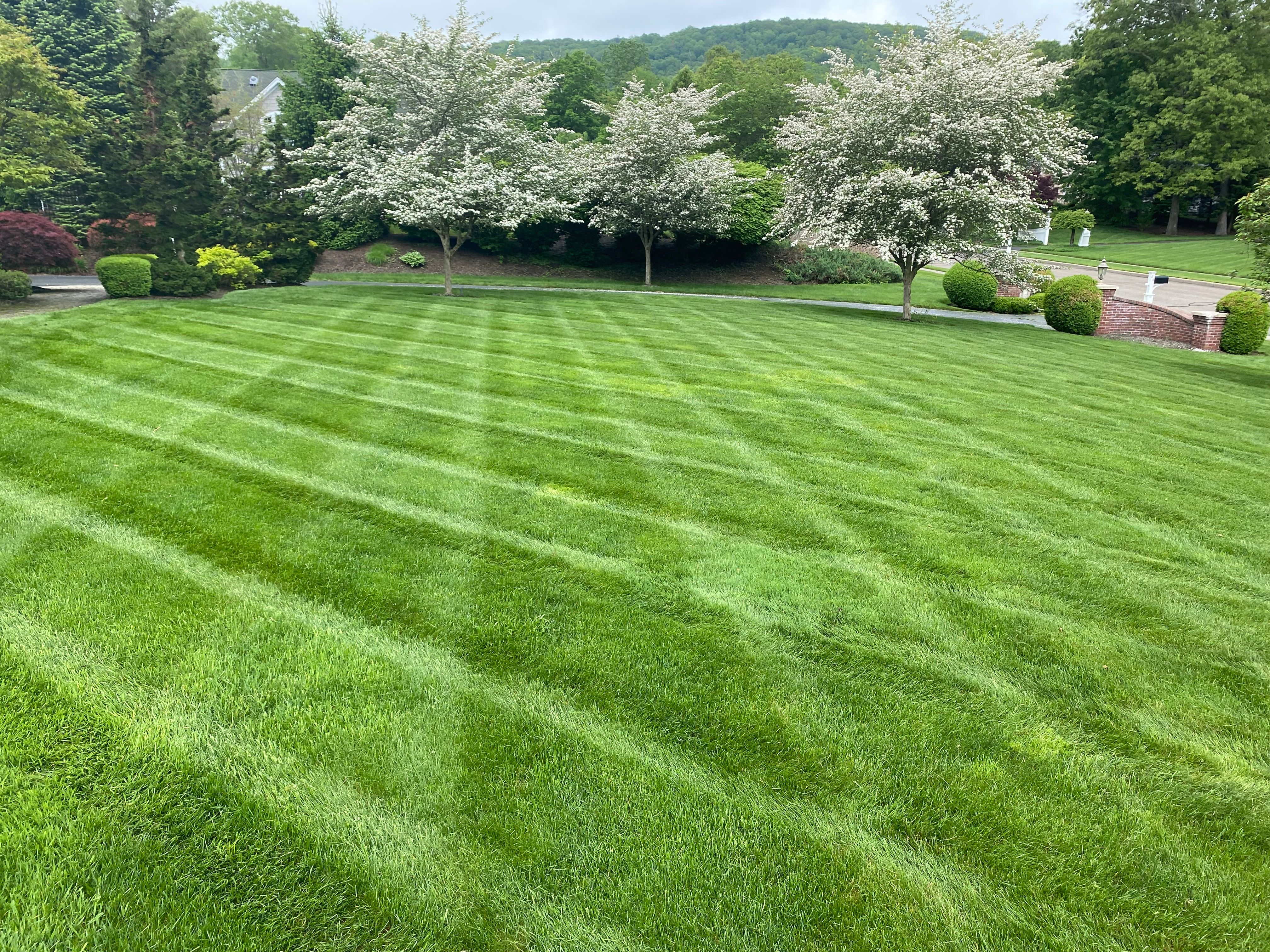 Mowing for Stevenson Property Maintenance in Cheshire, CT