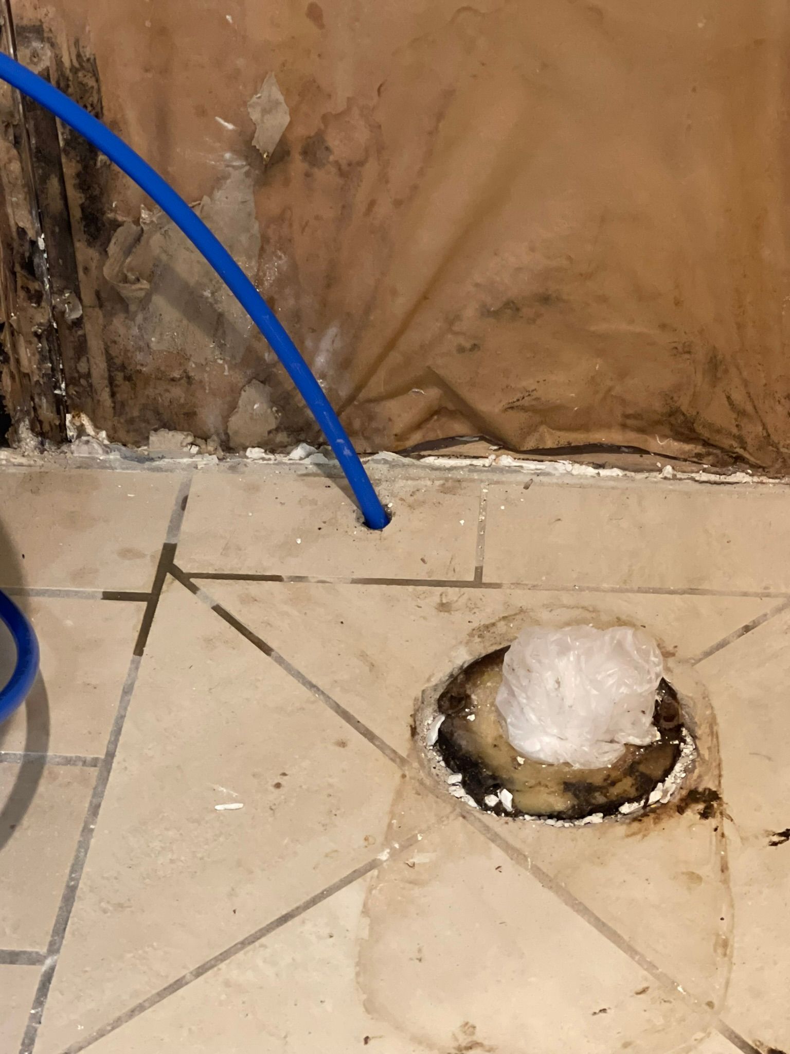  for Tony's Remodeling & Painting in Renton, WA