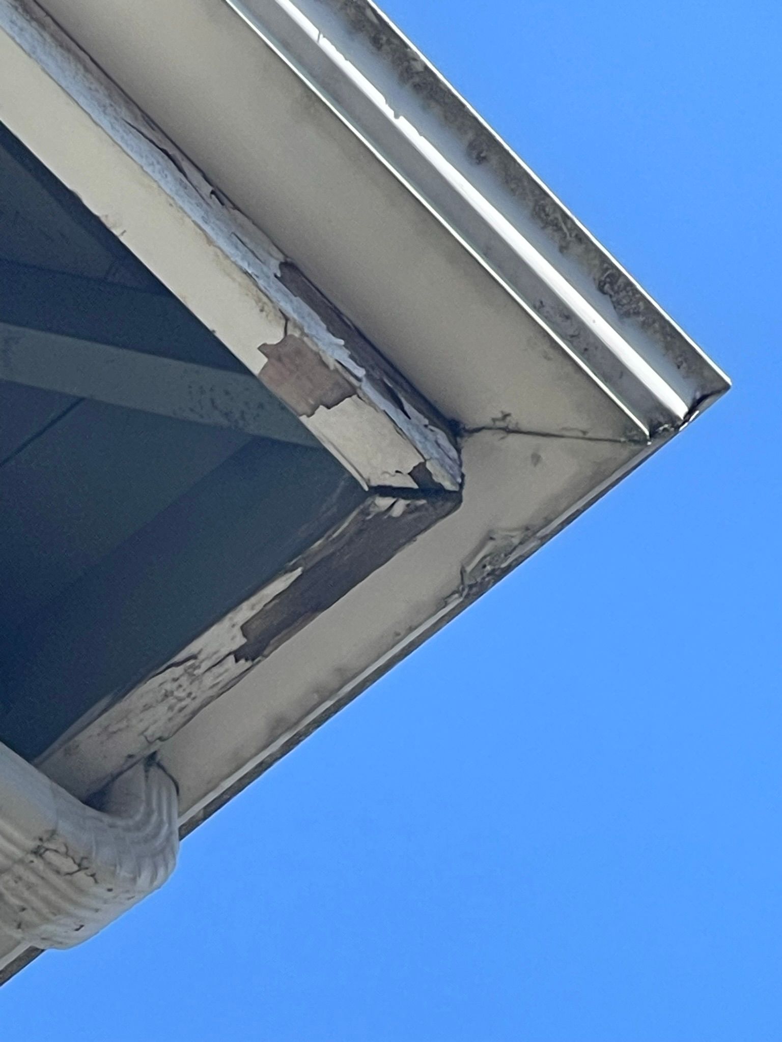  for Tony's Remodeling & Painting in Renton, WA