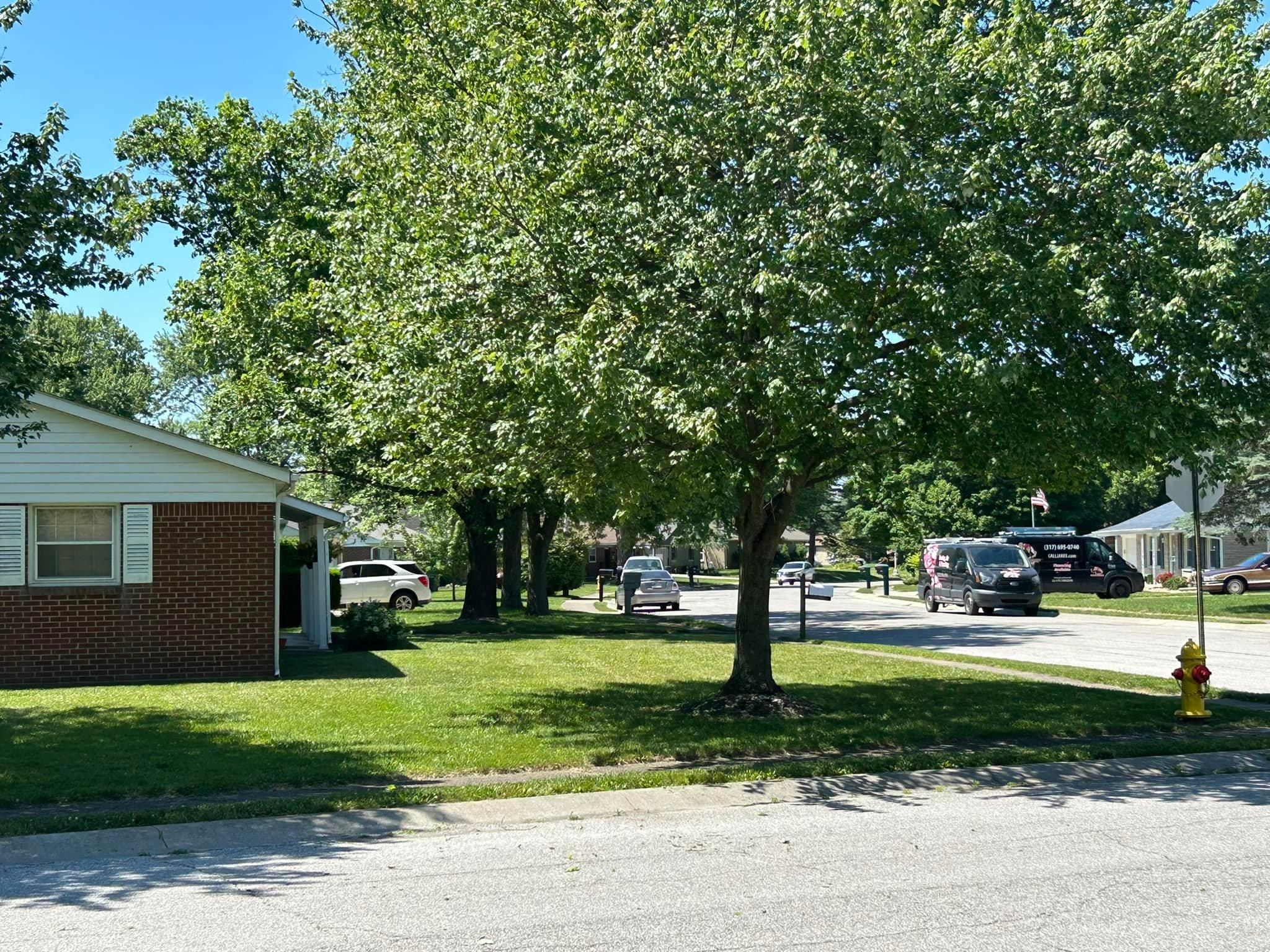  for Bearforce Lawn Care LLC in Greenfield, IN