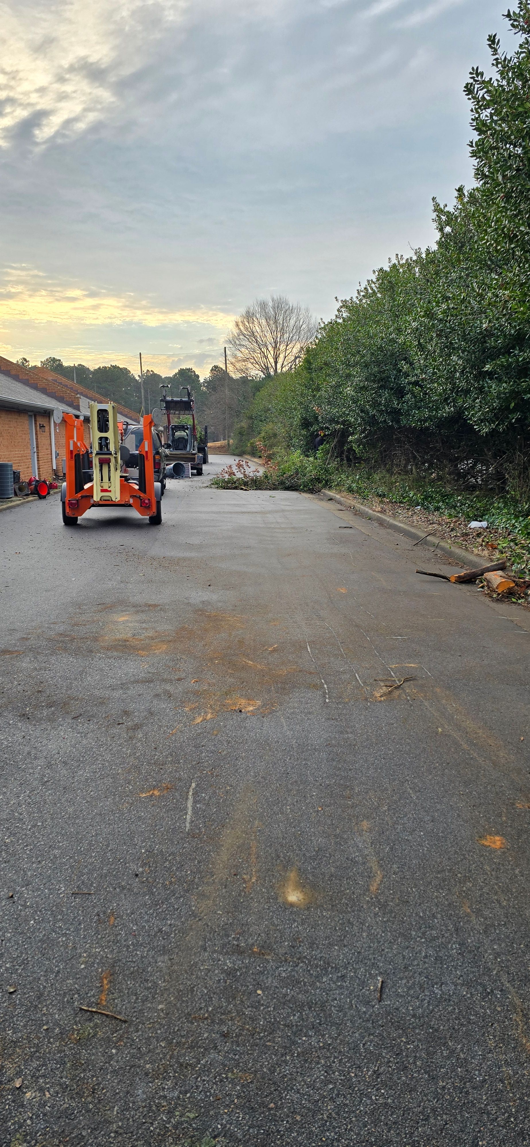  for Beach Tree Care in Virginia Beach, VA