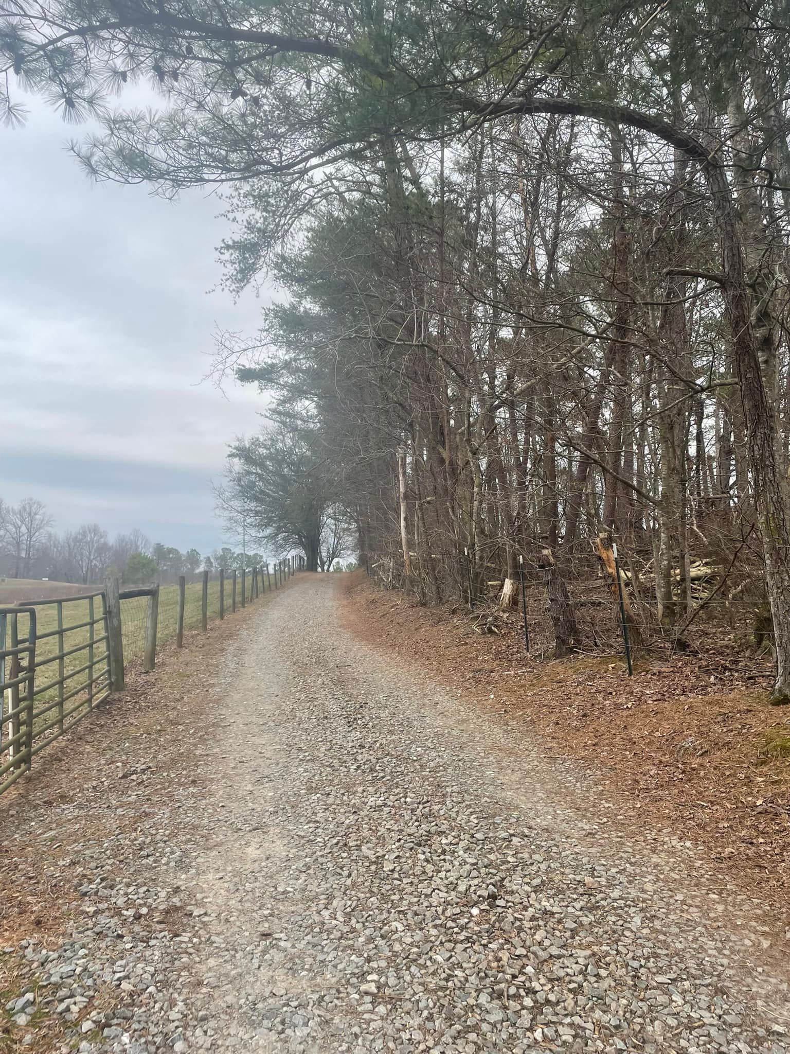  for D&D Land Services in Jasper, GA