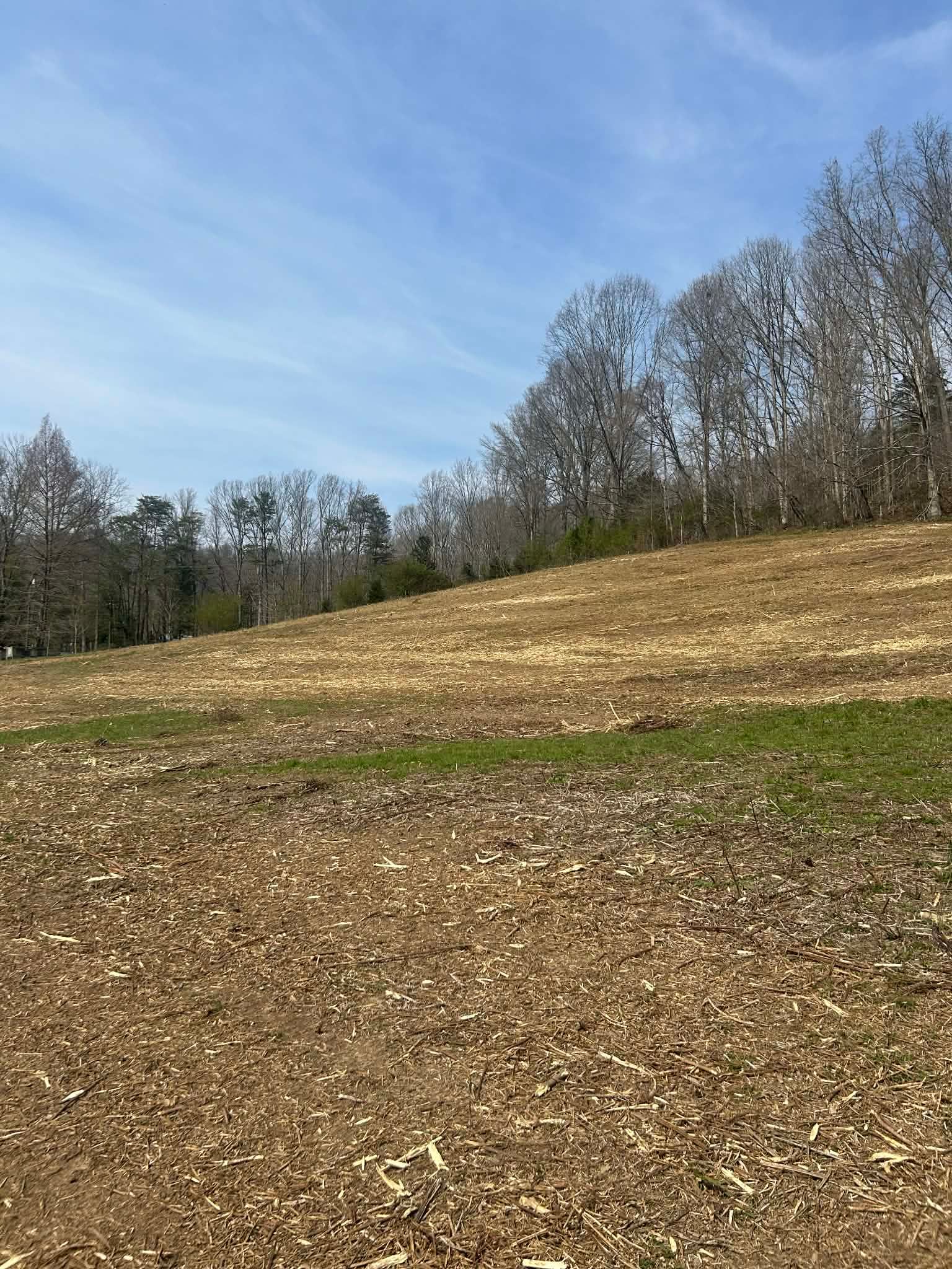  for Z's Land Management & Forestry Mulching in Smithville, TN