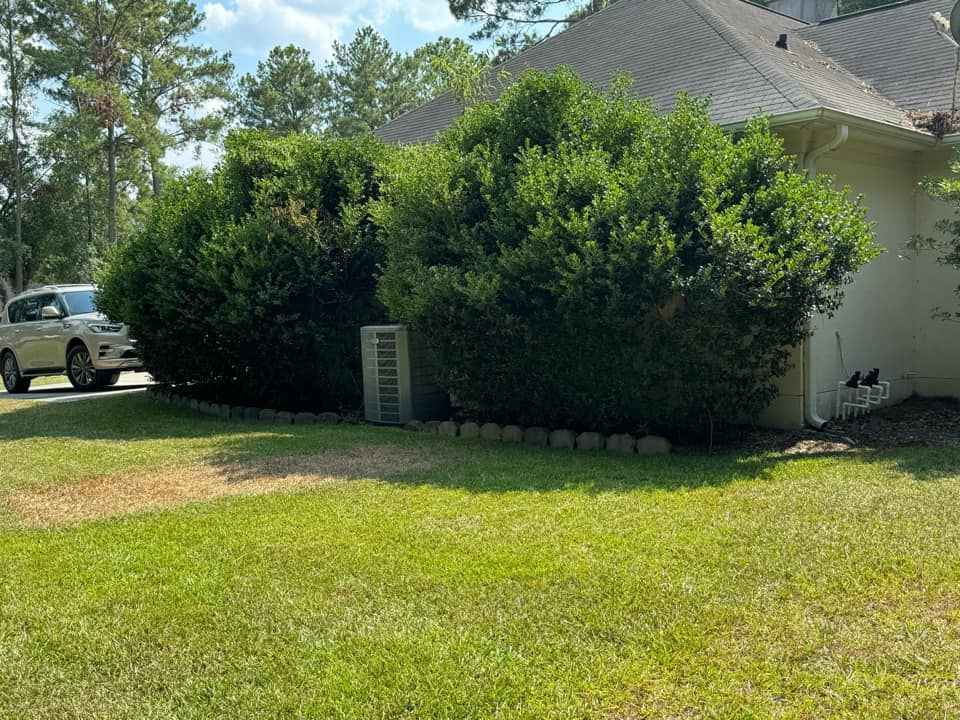  for Sierra Verde Landscaping in Vidalia, GA