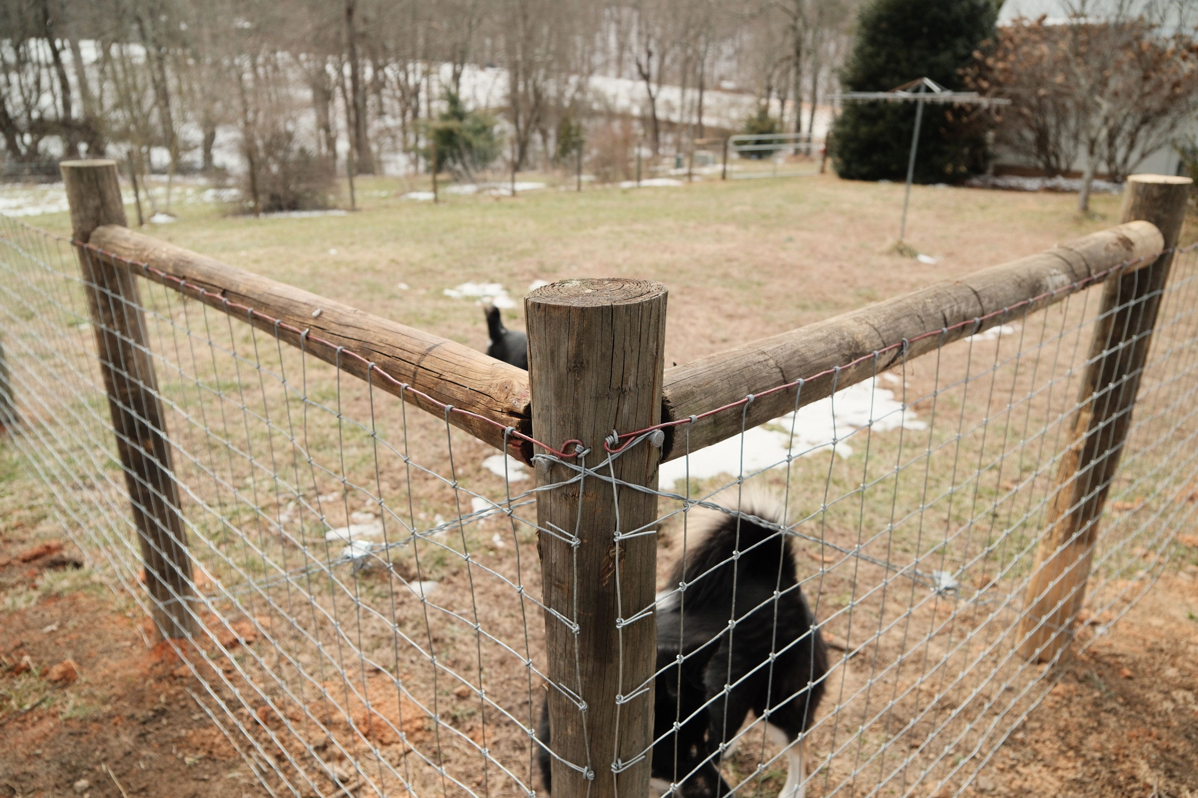  for Alpine Fence in Dahlonega, GA