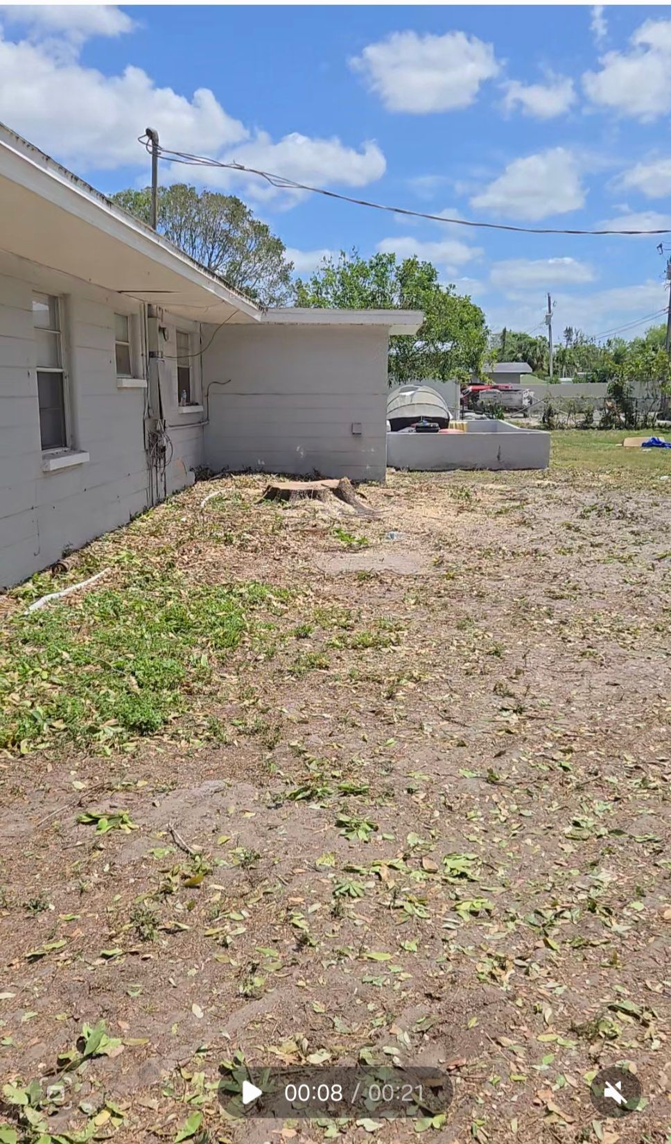All Photos for TREE BOYS in Ruskin, FL