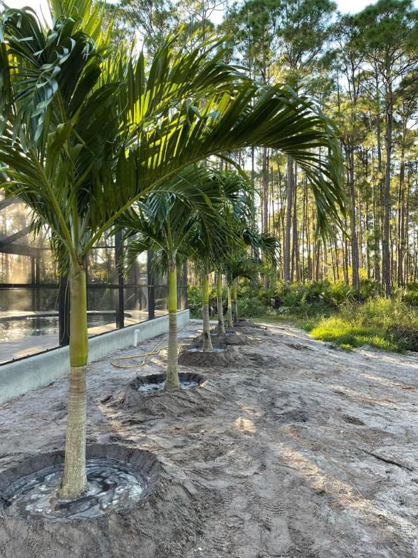  for Plant World LLC in Cape Coral, FL