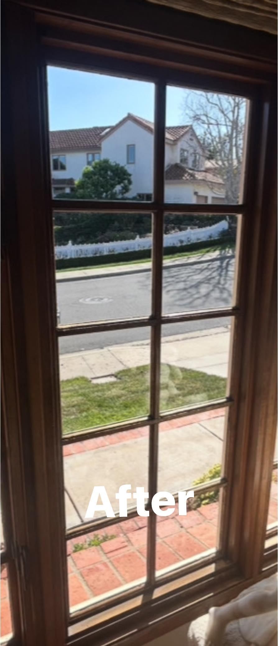 All Photos for Amazing View Services in Chula Vista, CA