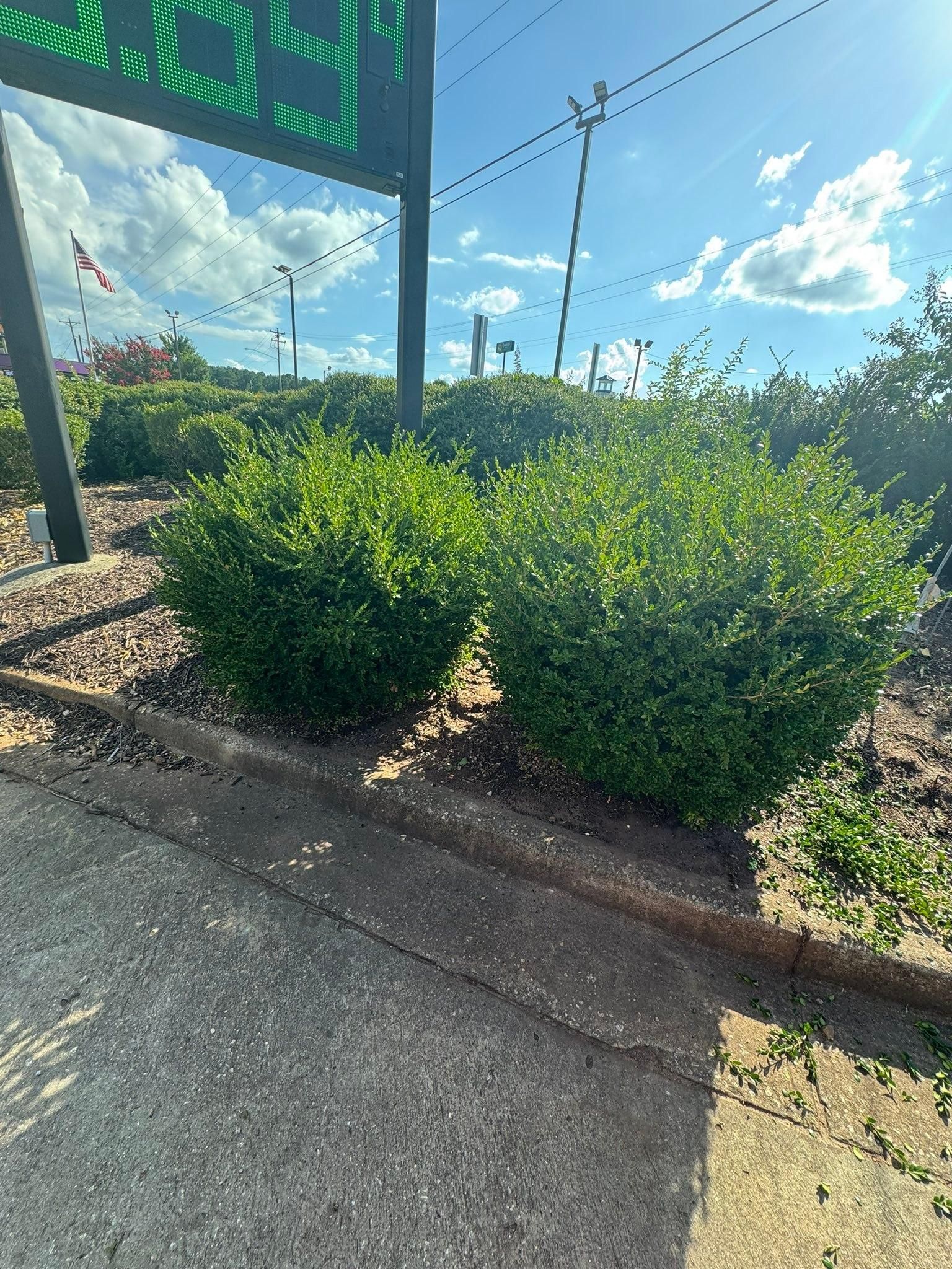  for Thin Green Line Landscaping & More in Laurens, SC