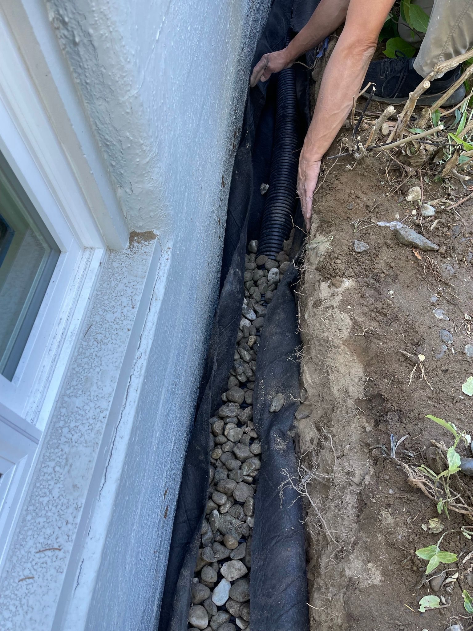  for Tony's Remodeling & Painting in Renton, WA