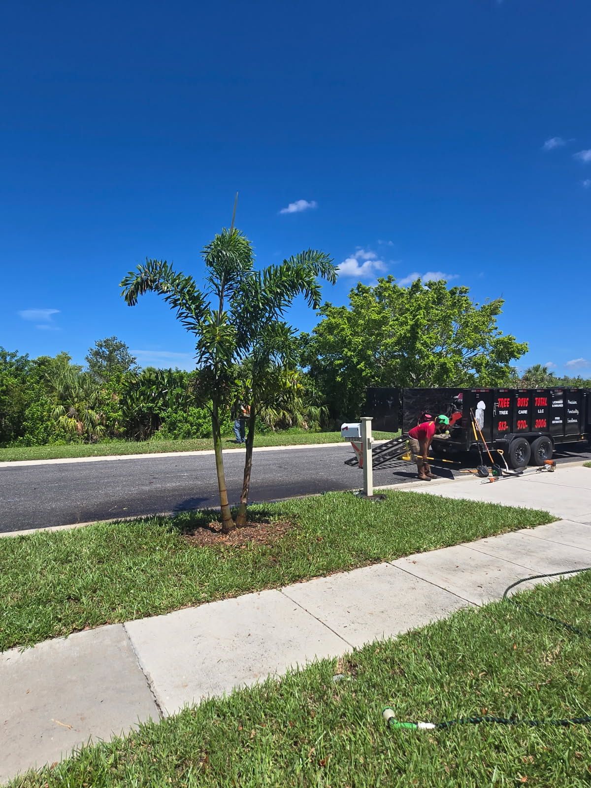 Tree Removal for TREE BOYS in Ruskin, FL