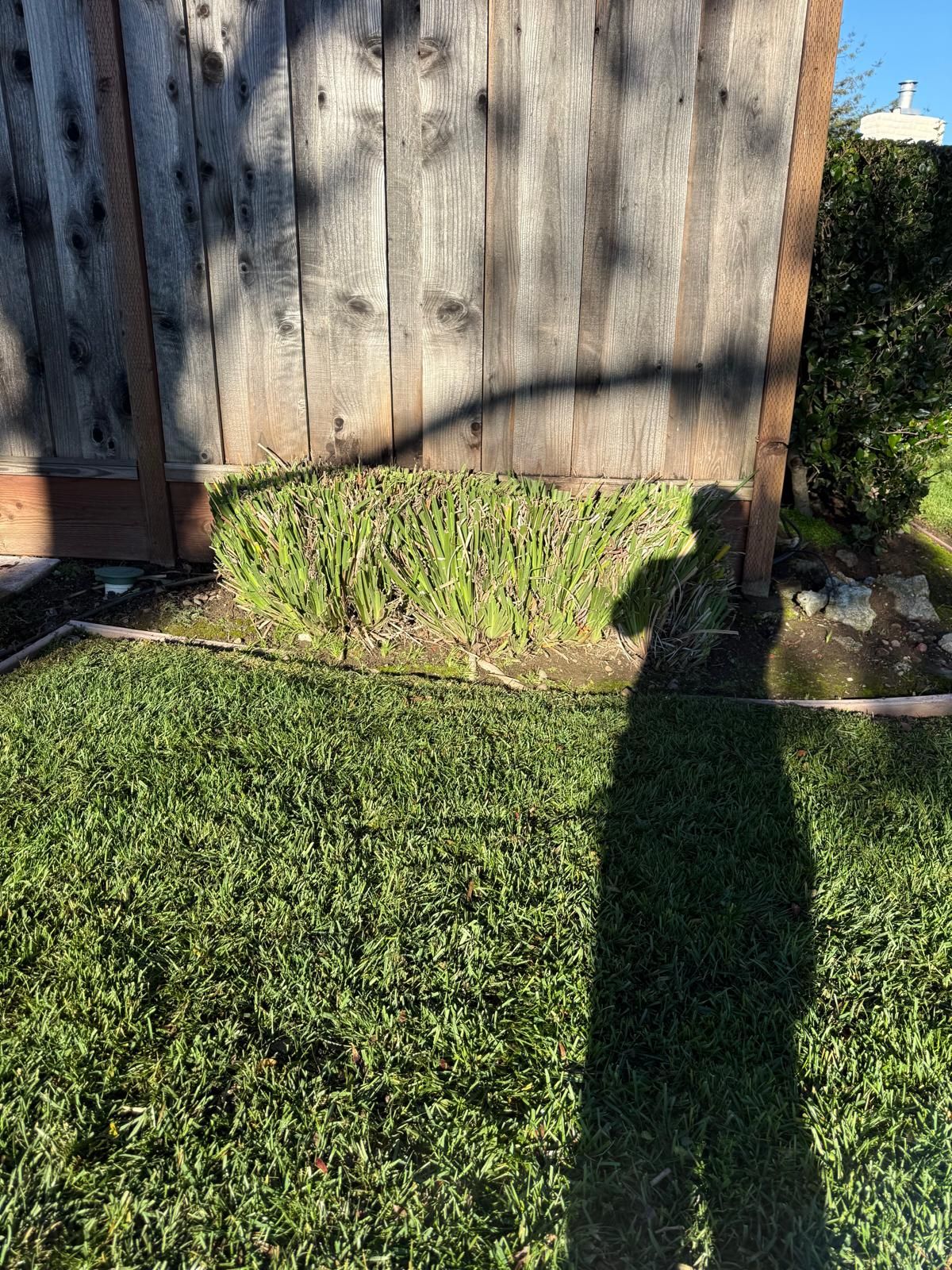  for CBA Landscaping in Hayward, CA