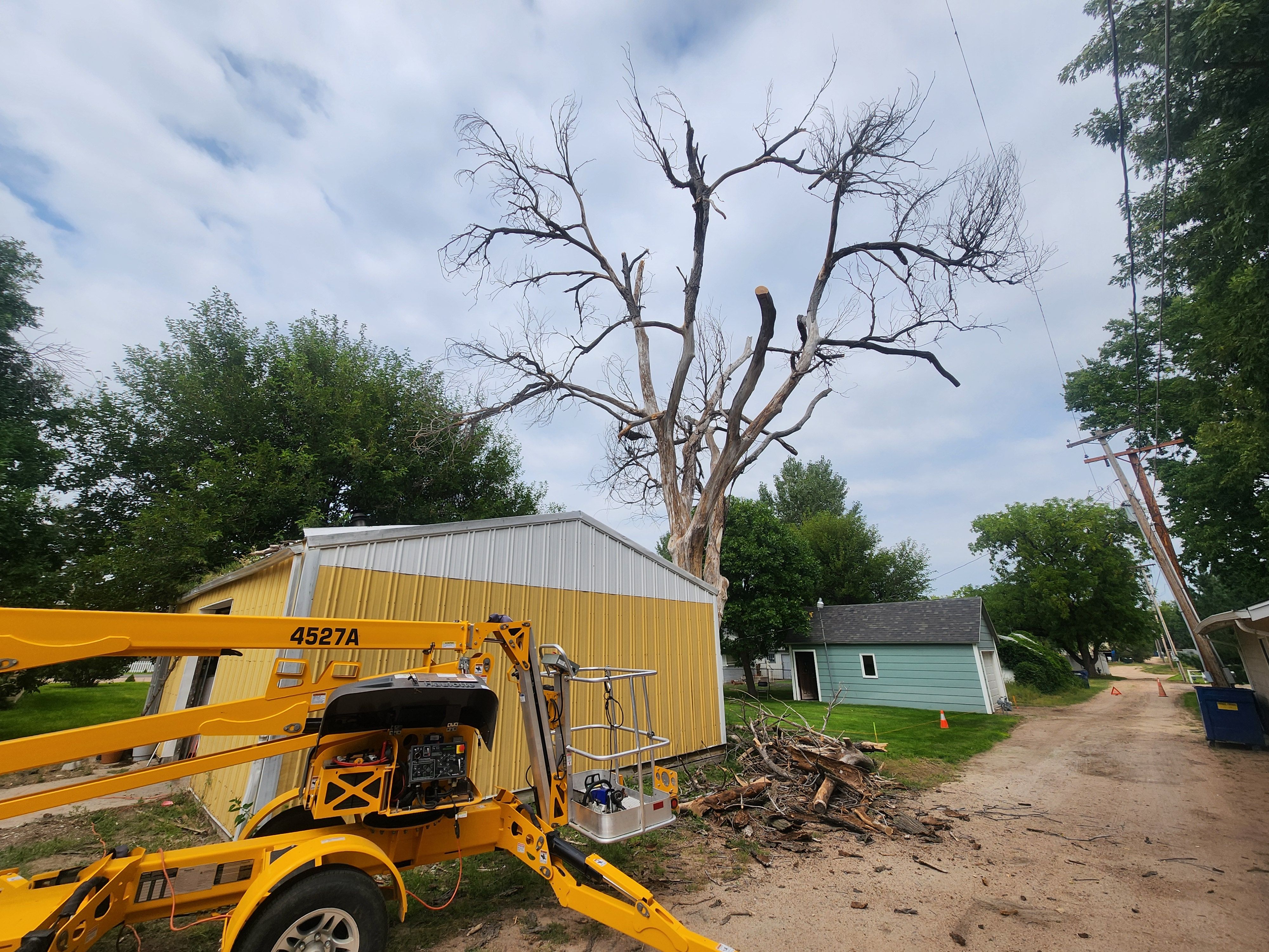 Brush & Tree Removal for M&N Fencing in Crook, CO