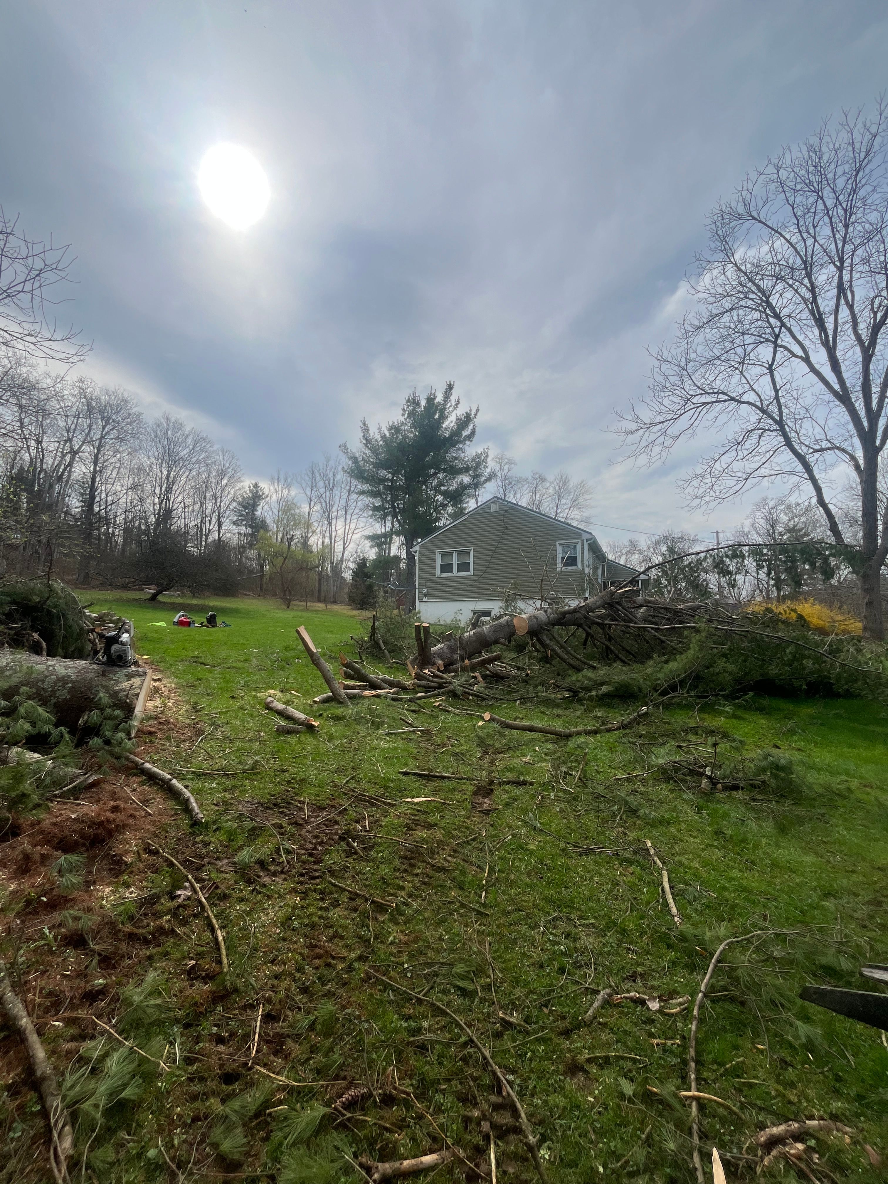 All Photos for Licensed to Cut Tree Service in Athens, PA