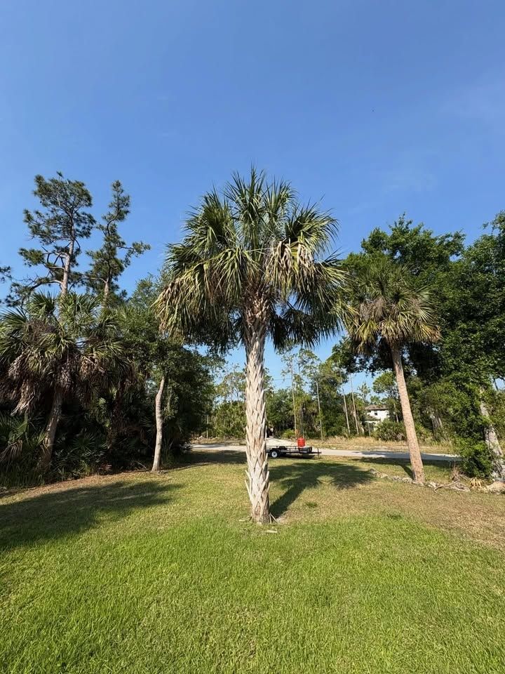  for R&R GreenWorks in North Port, FL