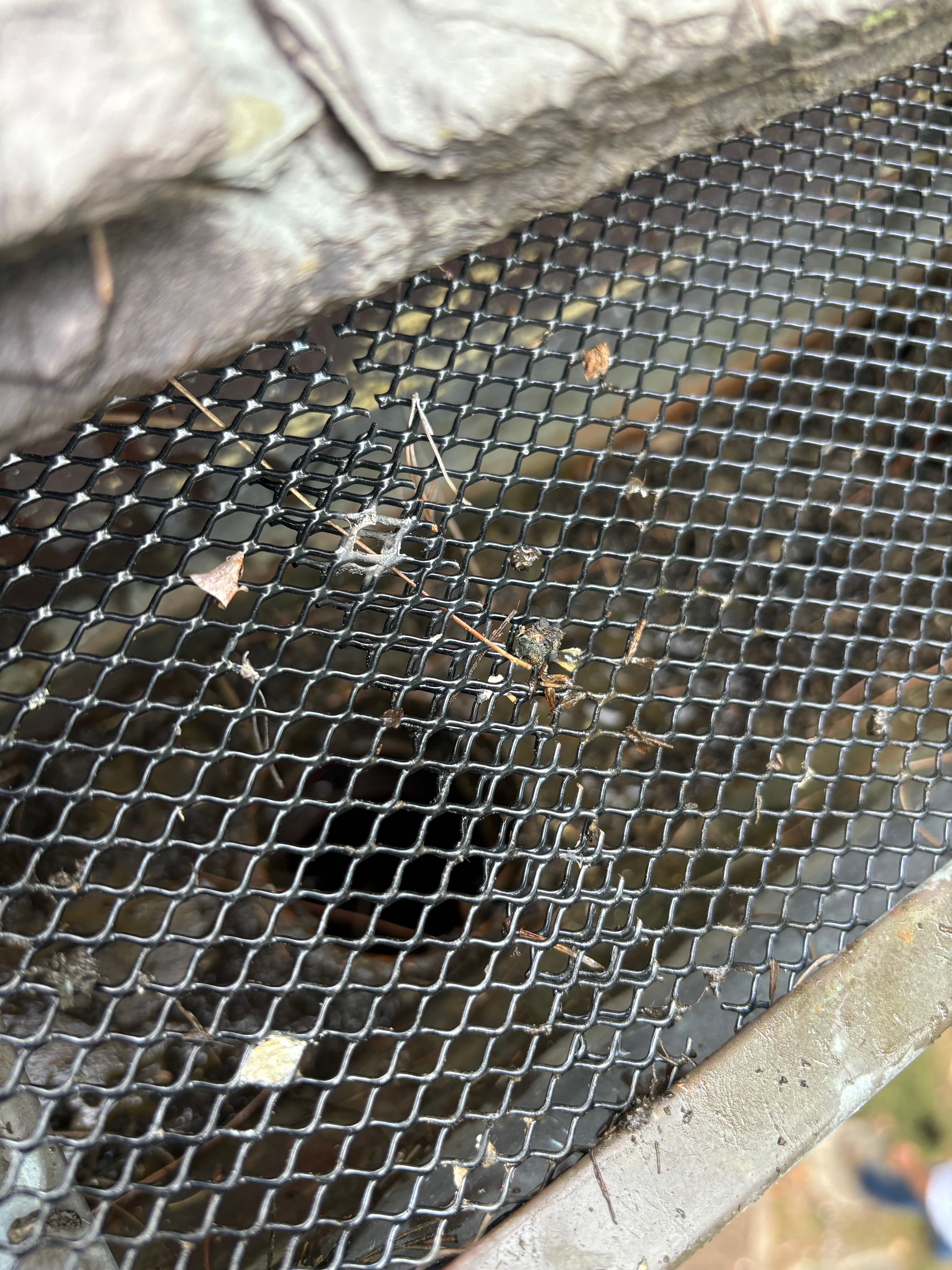  for See2it Clean in St Louis, MO