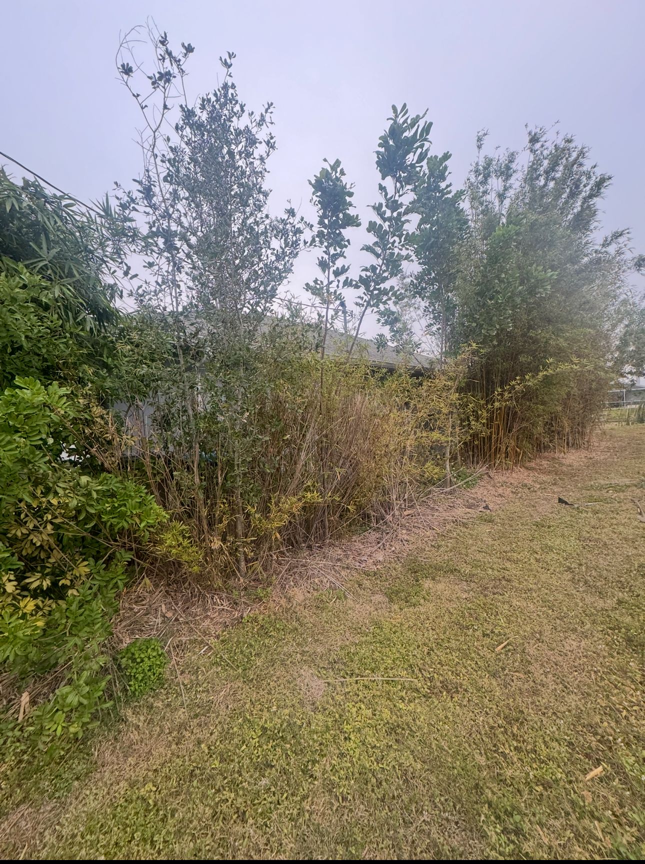  for BH Lawn and Landscape in Fort Myers, FL