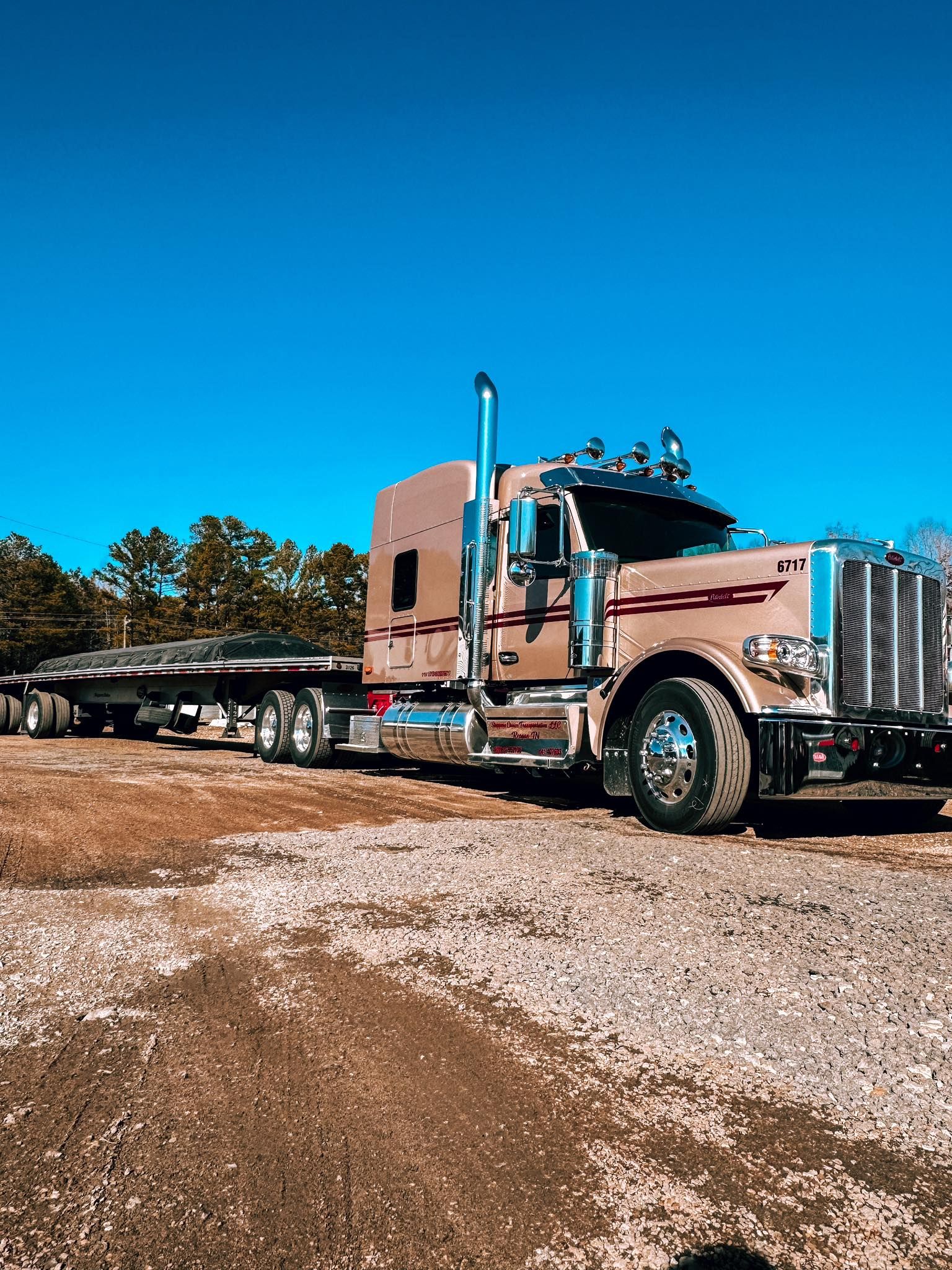  for Shipper's Choice Transportation in Reagan, TN