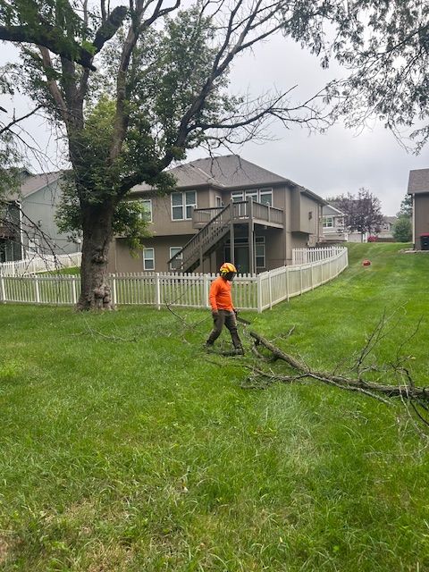 All Photos for Cross Family Tree Service in Kearney, MO
