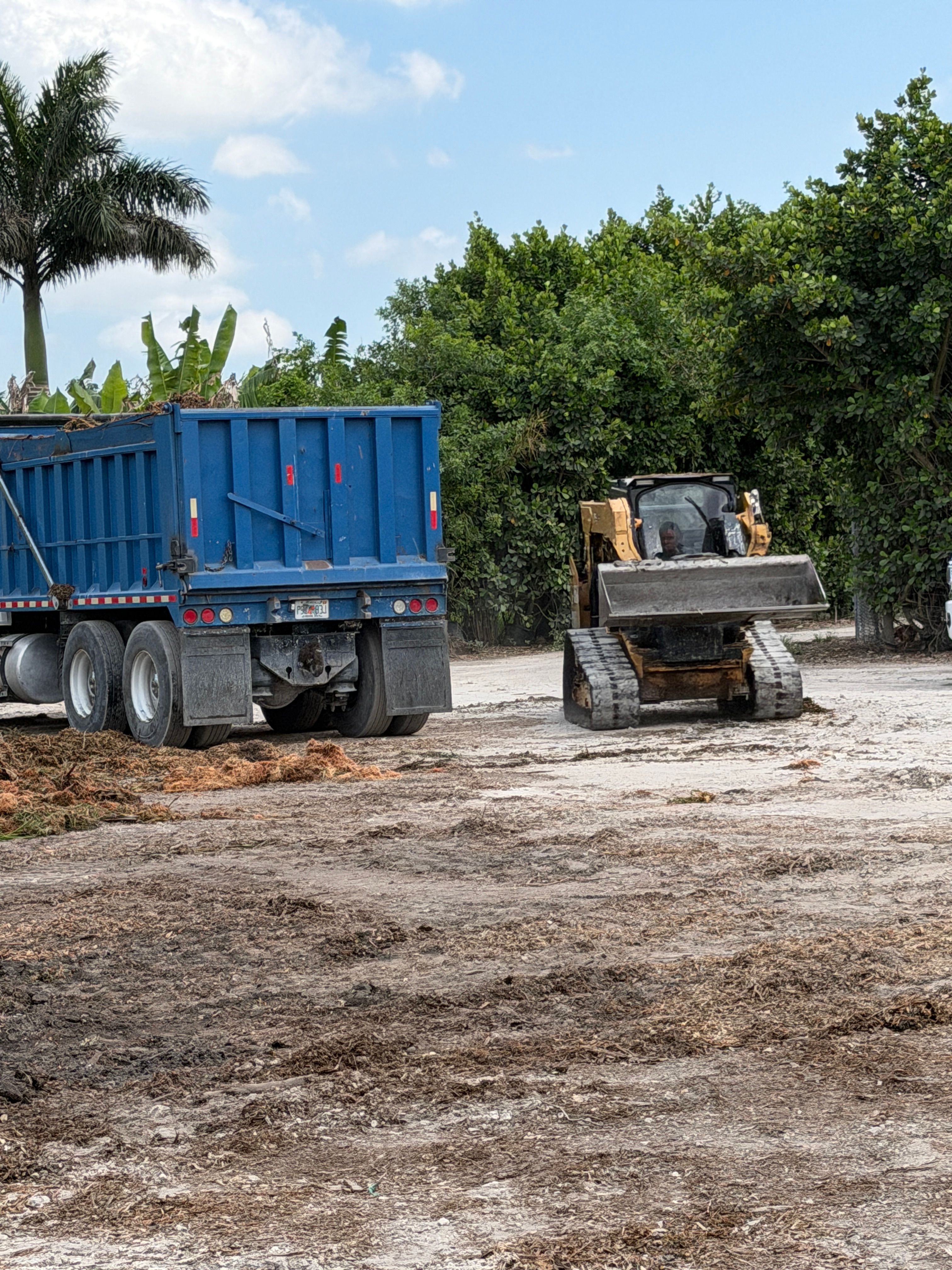  for Nurry Tree Services in Miami, FL