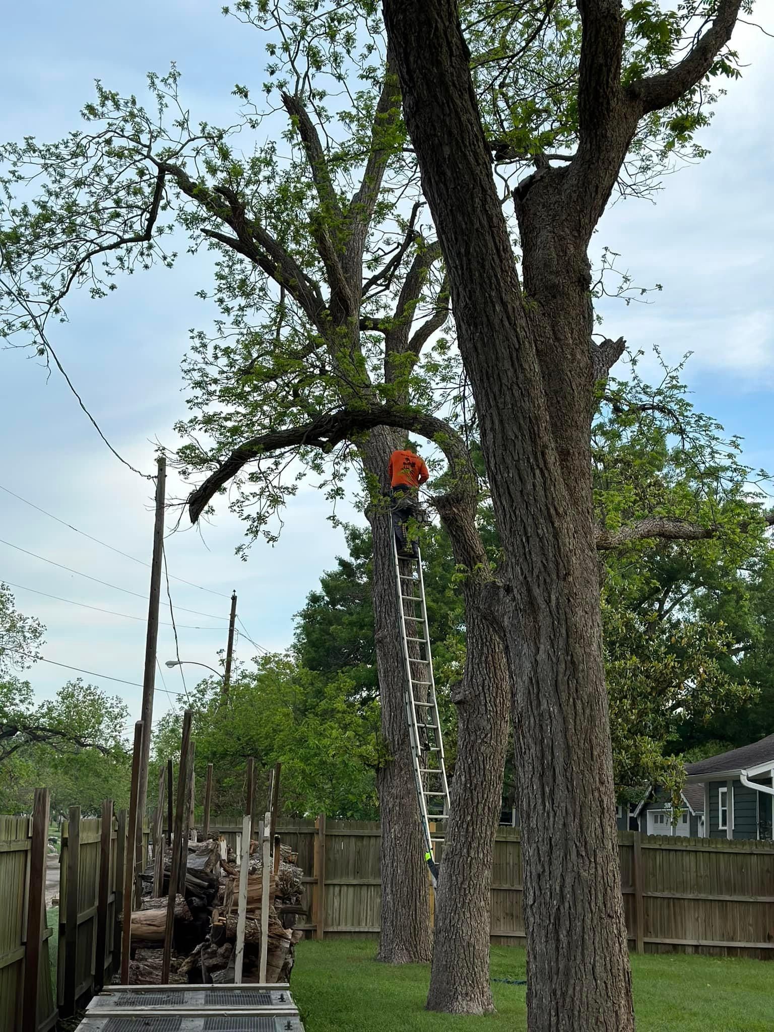 Mowing for Allen Lawn Care in Taylor, Texas