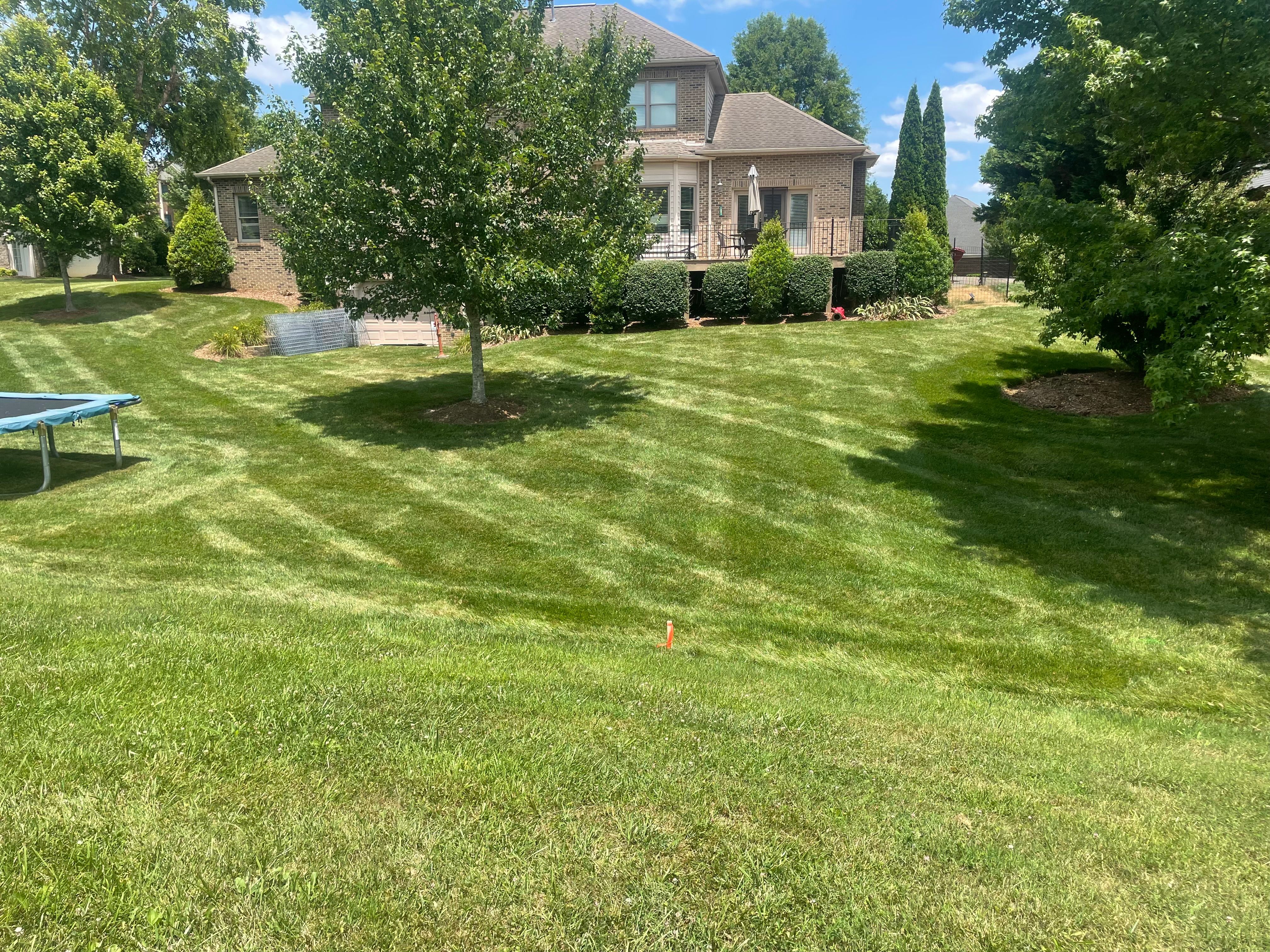  for Diamond Lawn & Land Maintenance in Jonesborough, TN