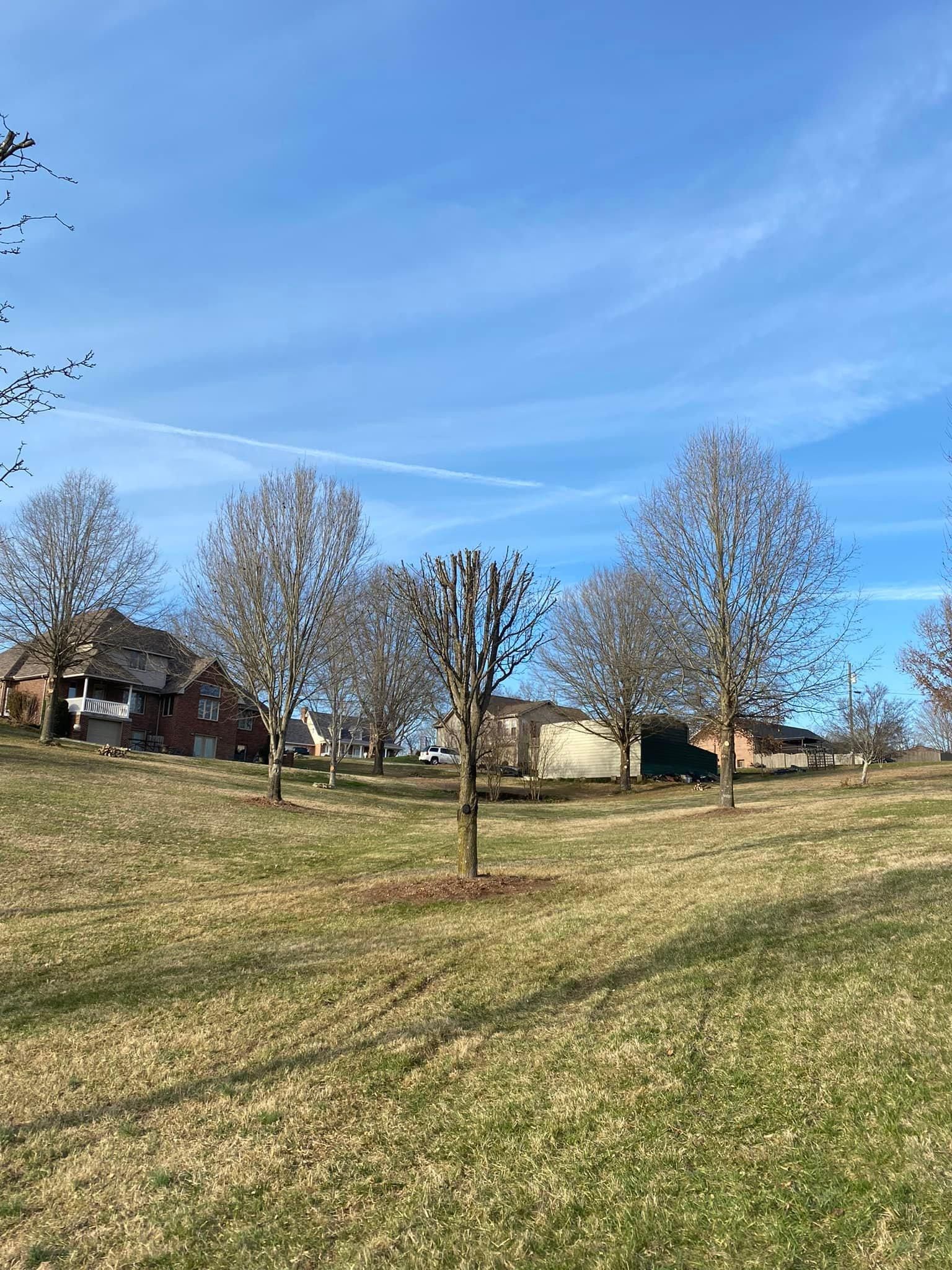 Tree Removal for Atwood’s Tree Care in Liberty,  KY