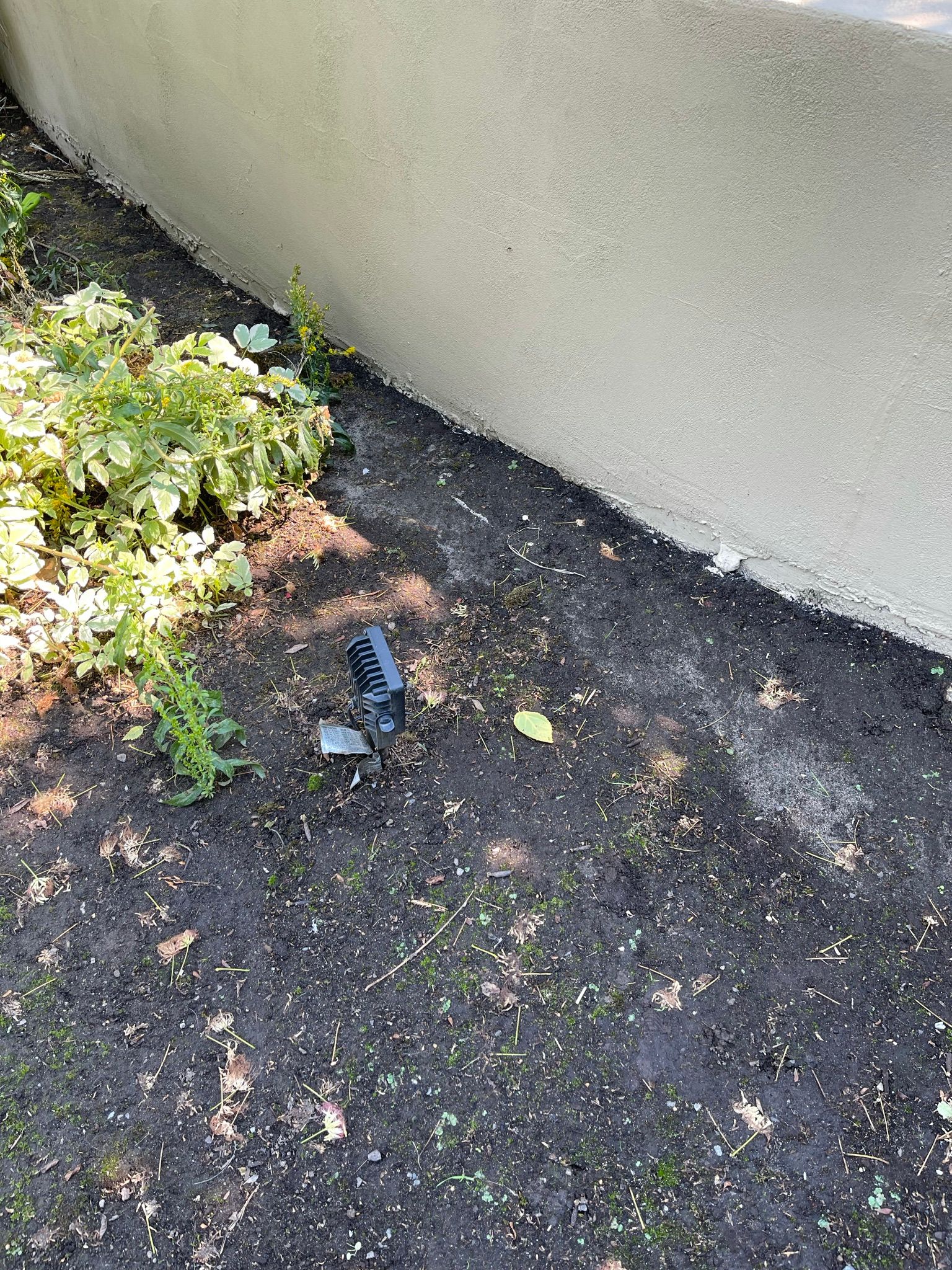  for Tony's Remodeling & Painting in Renton, WA