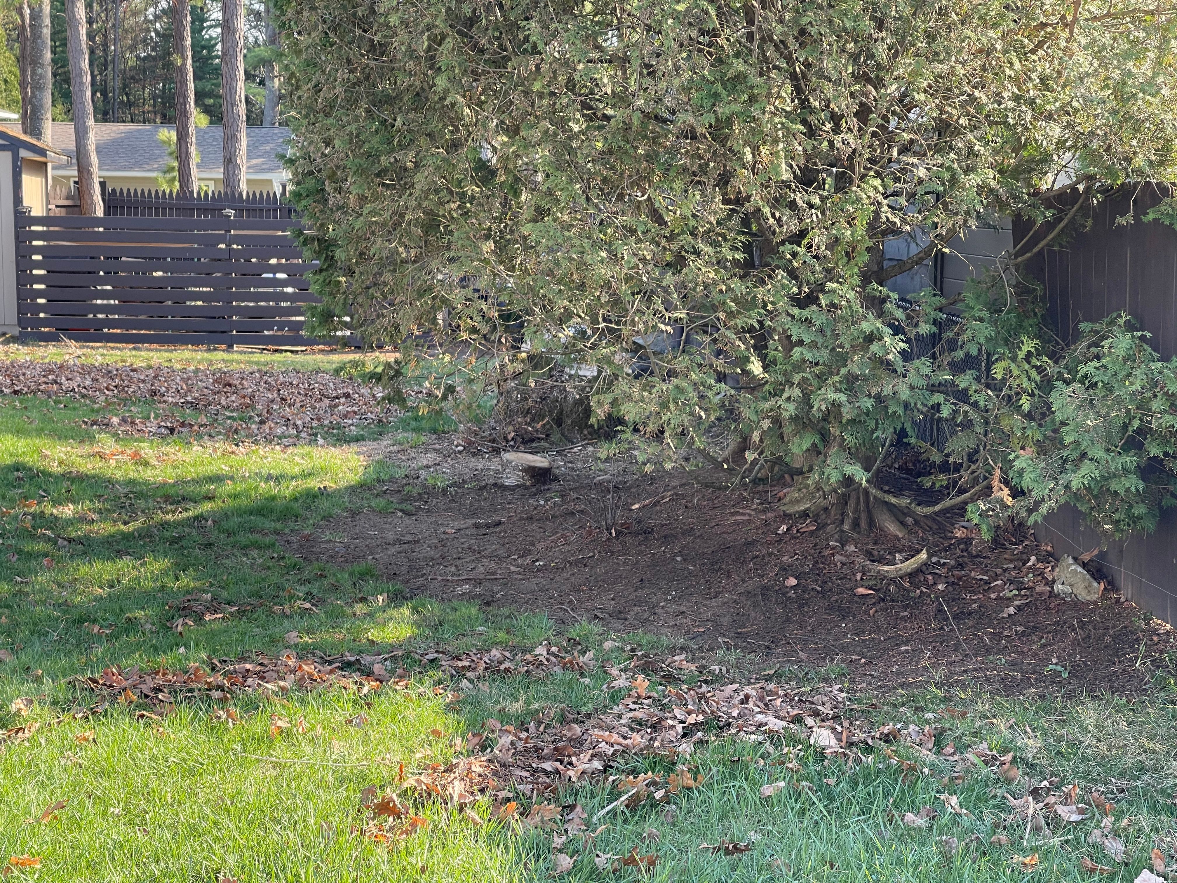 All Photos for Elite Terrain in Wilton, NY