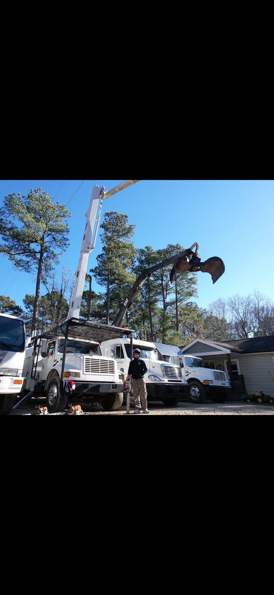  for AB Tree Service in Raleigh, NC