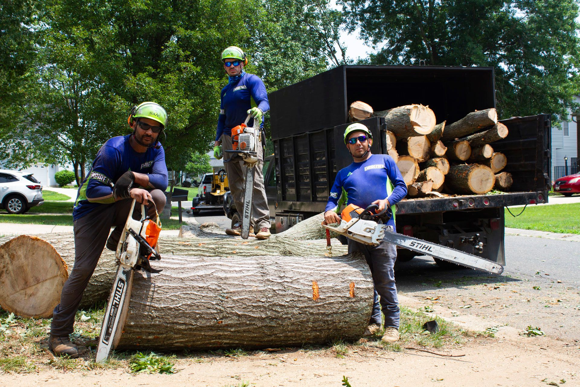 Tree Removal for Empire Tree Services in Mechanicsville, MD