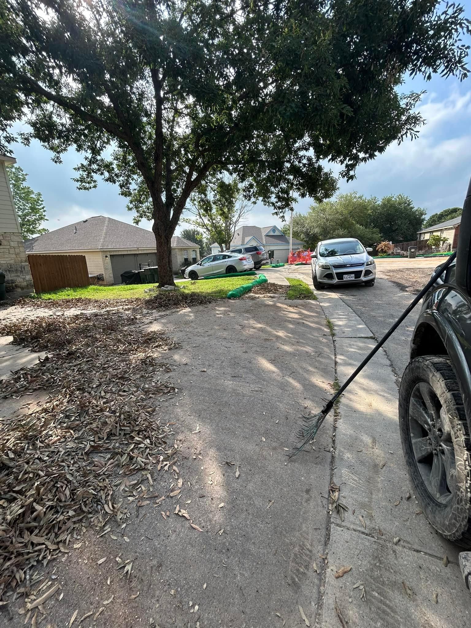 All Photos for Green Turf Landscaping in Kyle, TX