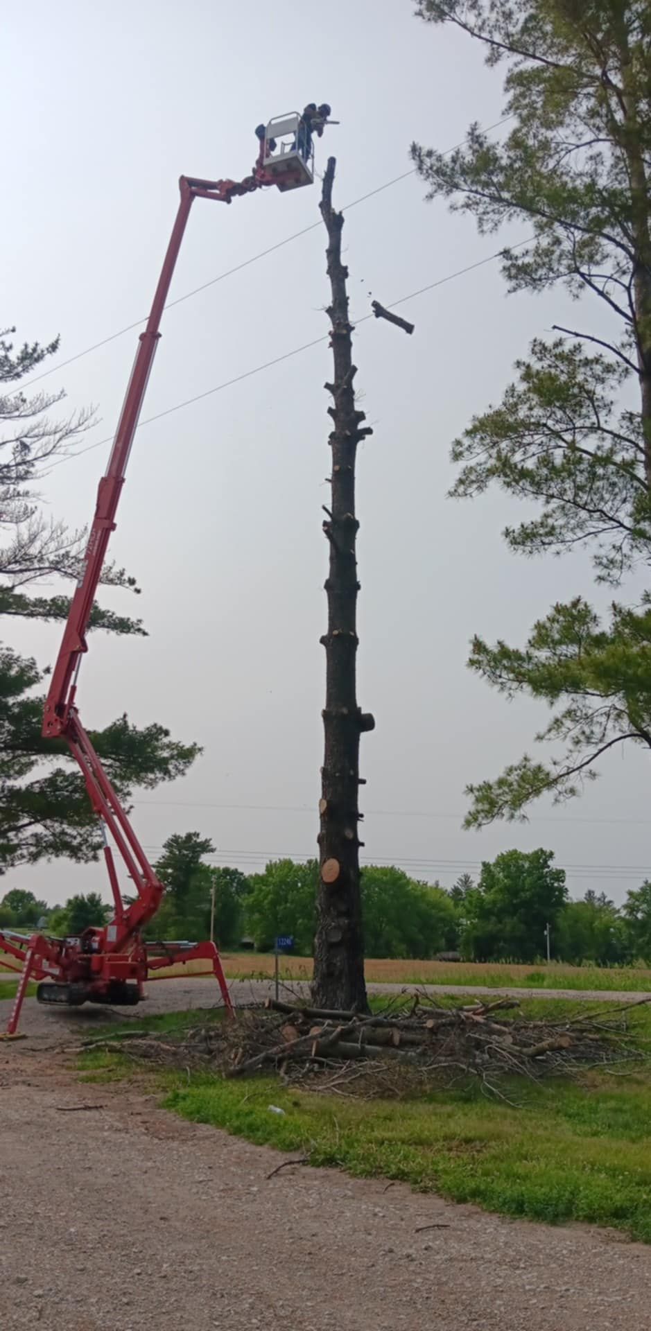  for Lawn Ranger Yard And Tree Service LLC in Ottumwa, IA