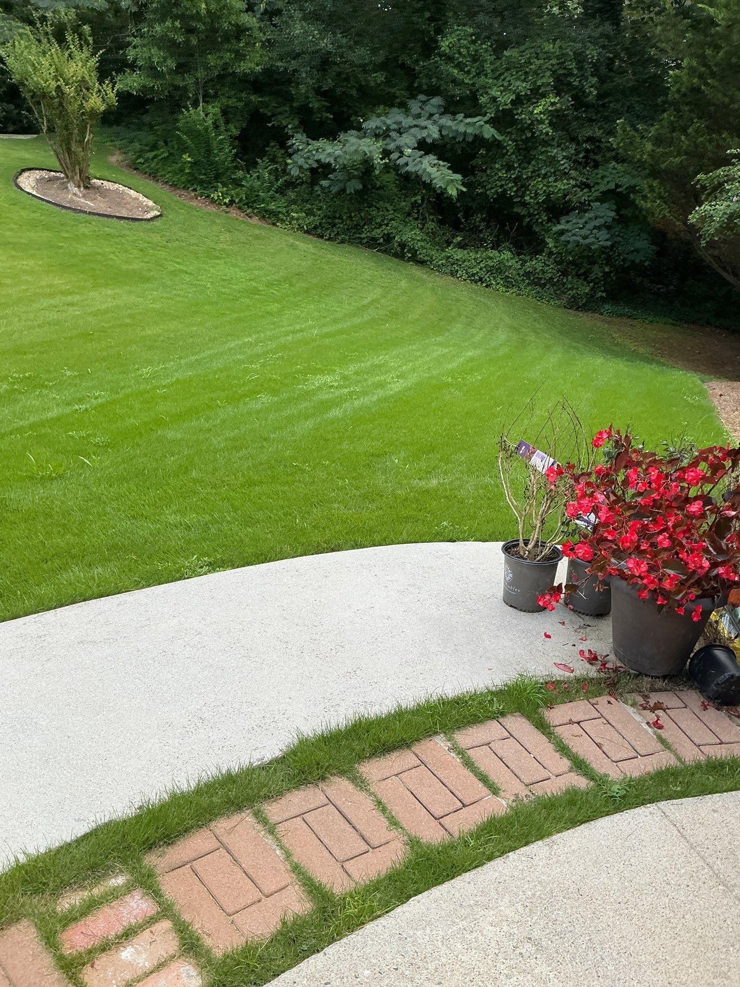  for New Beginning Landscape & Remodel LLC in Atlanta, GA