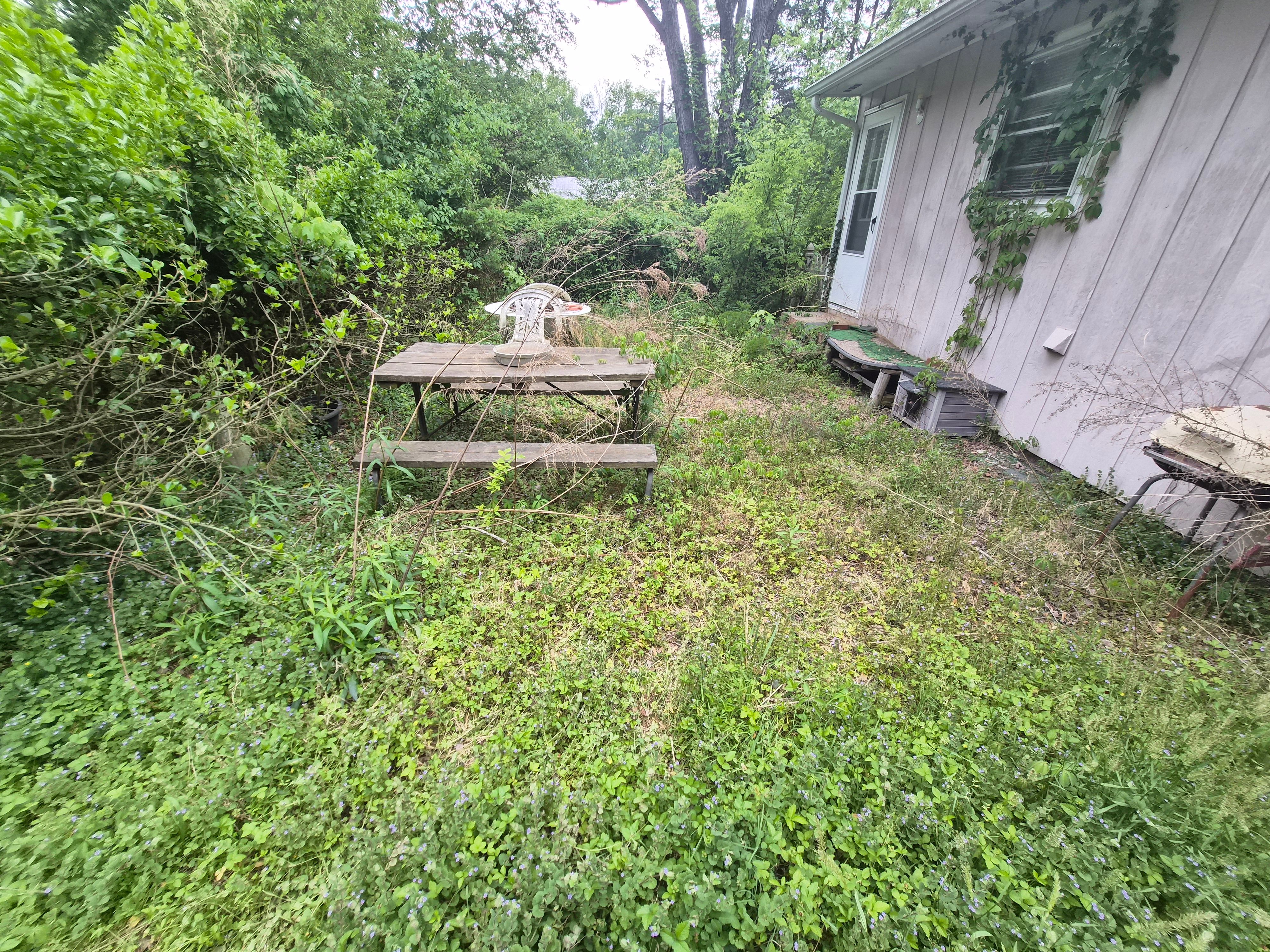 All Photos for 4 Points Lawncare LLC in Hayes, VA