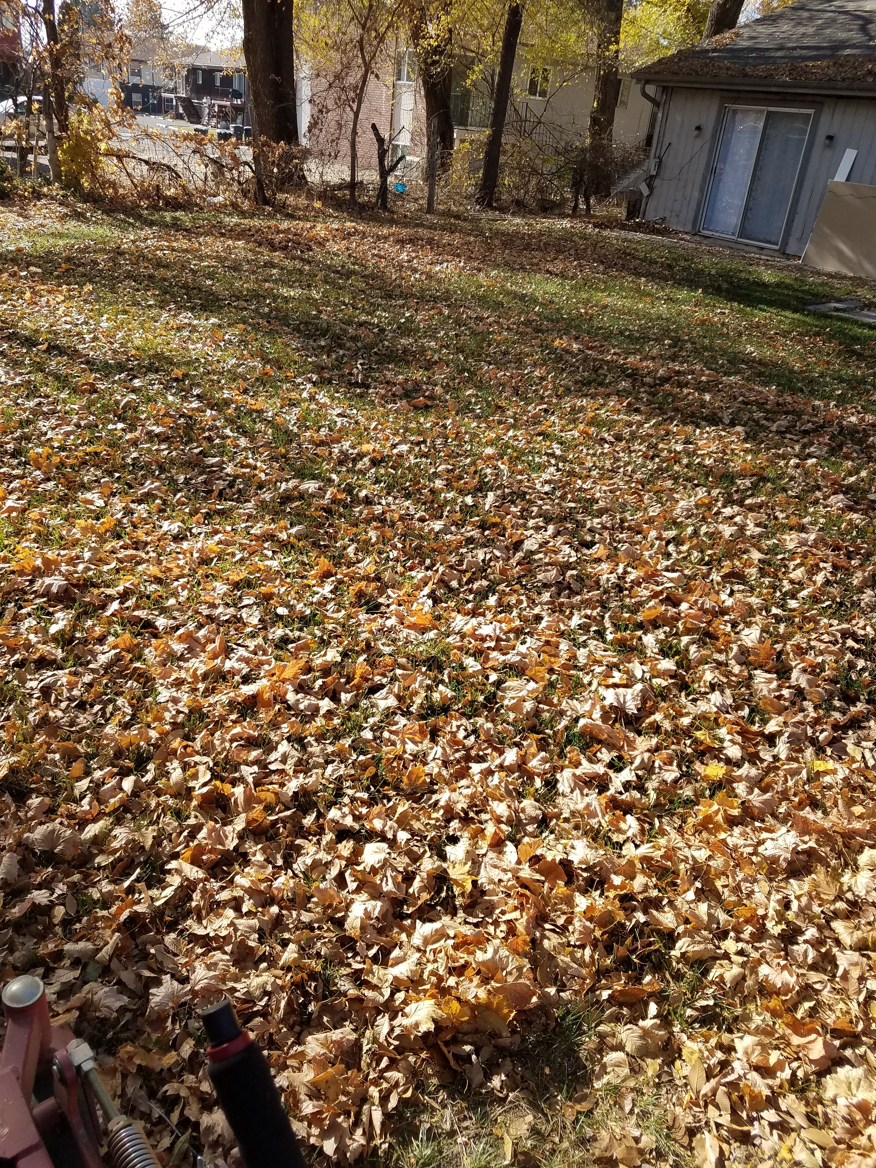  for Platinum Lawn Service in Santaquin, UT