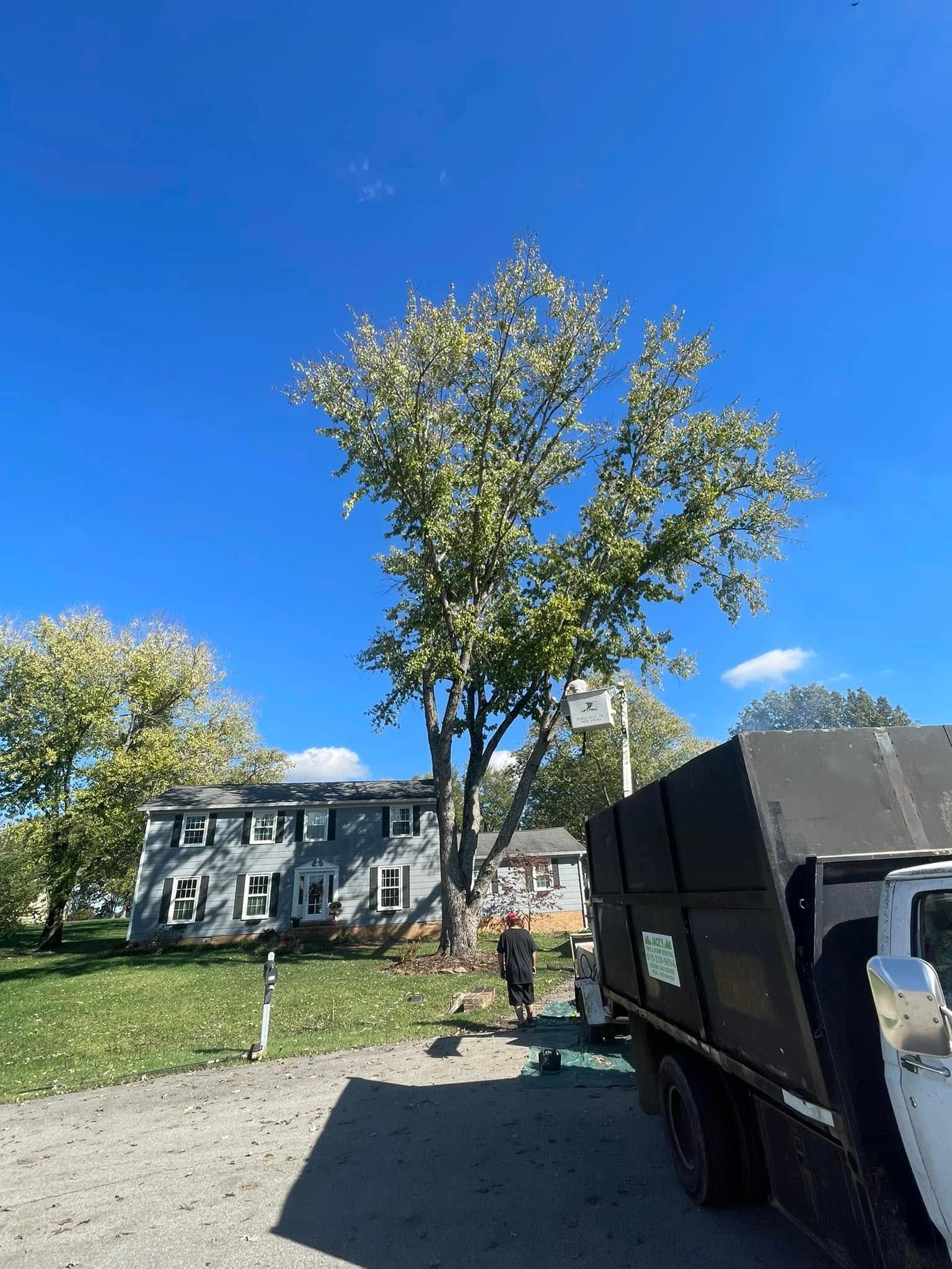  for Jace’s Tree & Stump Removal in Franklin, TN