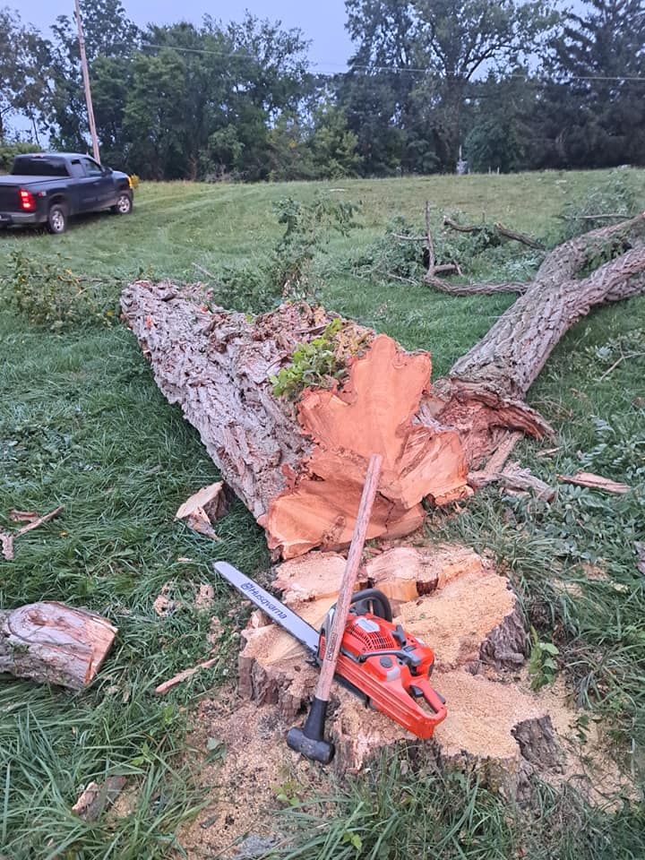 for God's Country Timber Management in Hillsdale, MI
