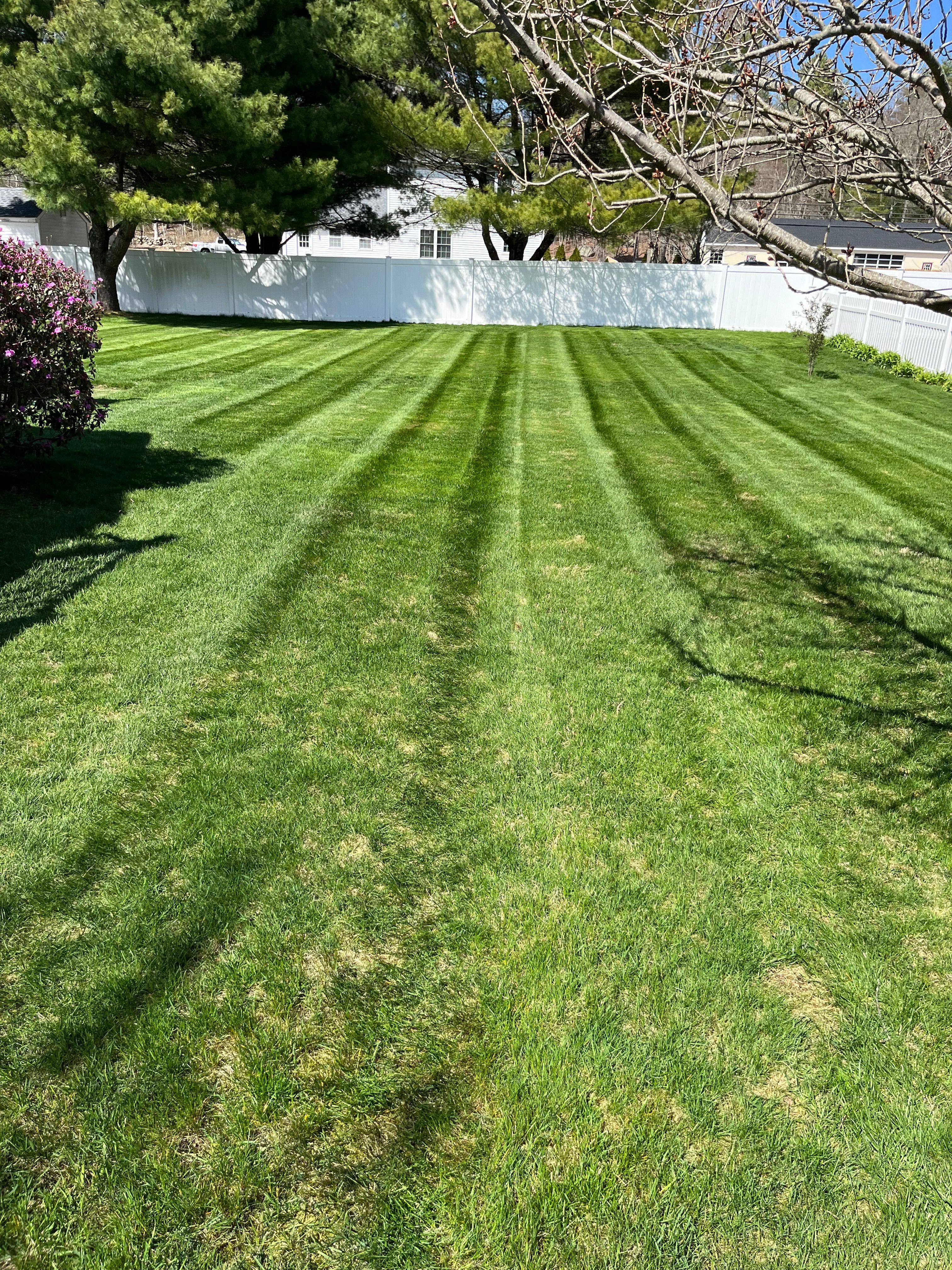  for Evolution Landscaping and Construction  in Charlestown, RI