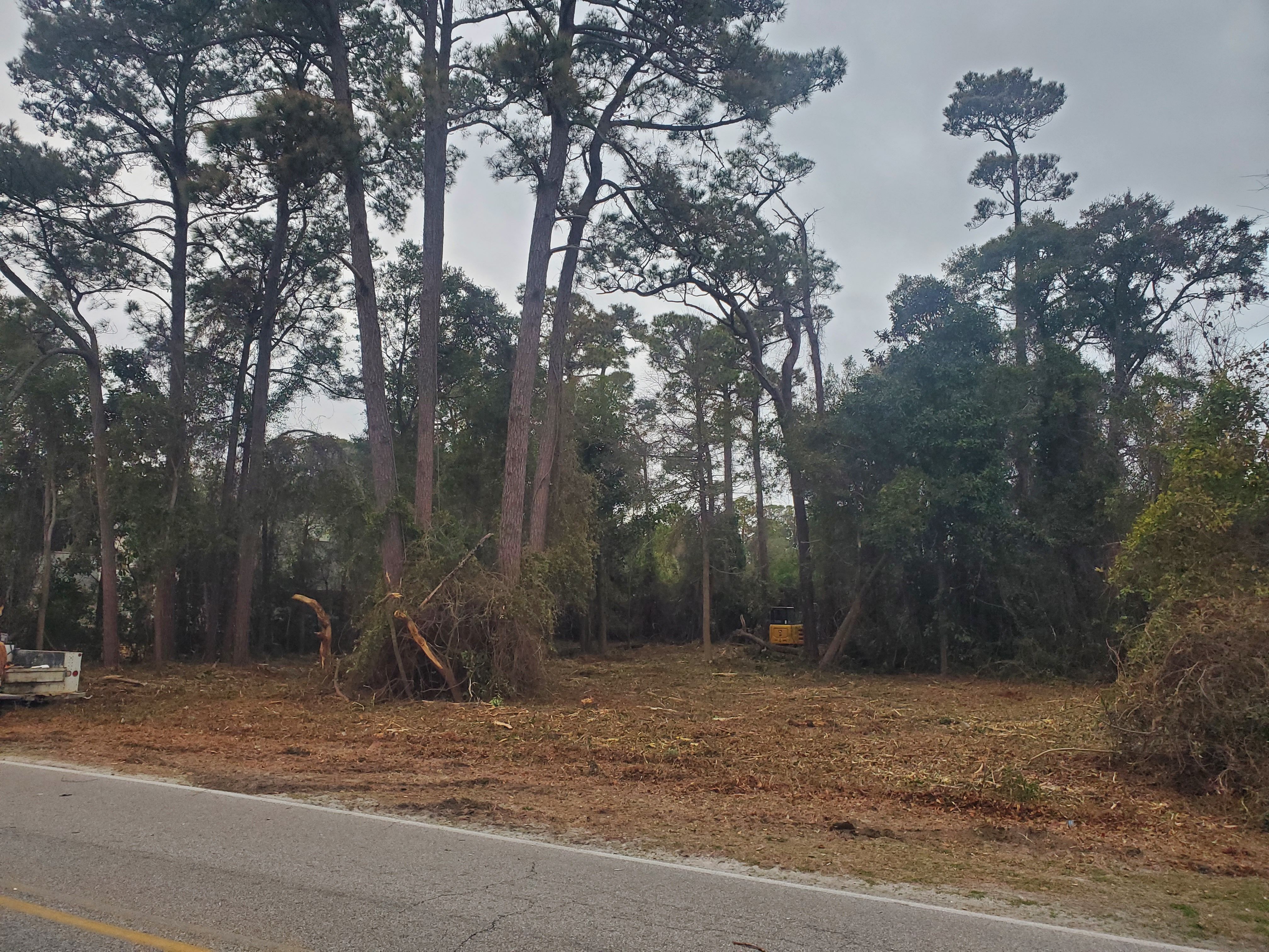All Photos for TJ Farm and Land Management in Loris, SC