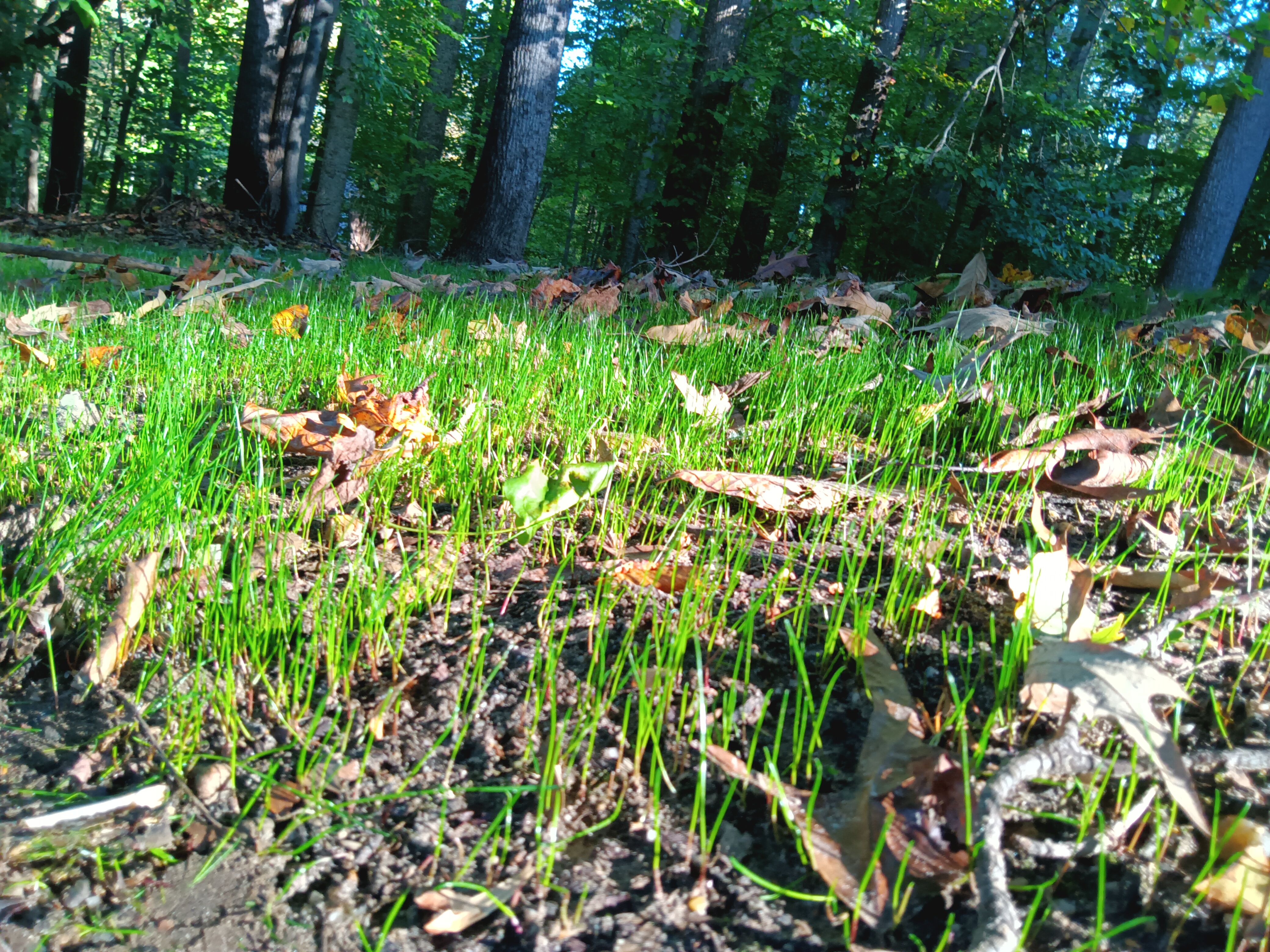  for Sam I AM Property Solutions in Sunderland, MD