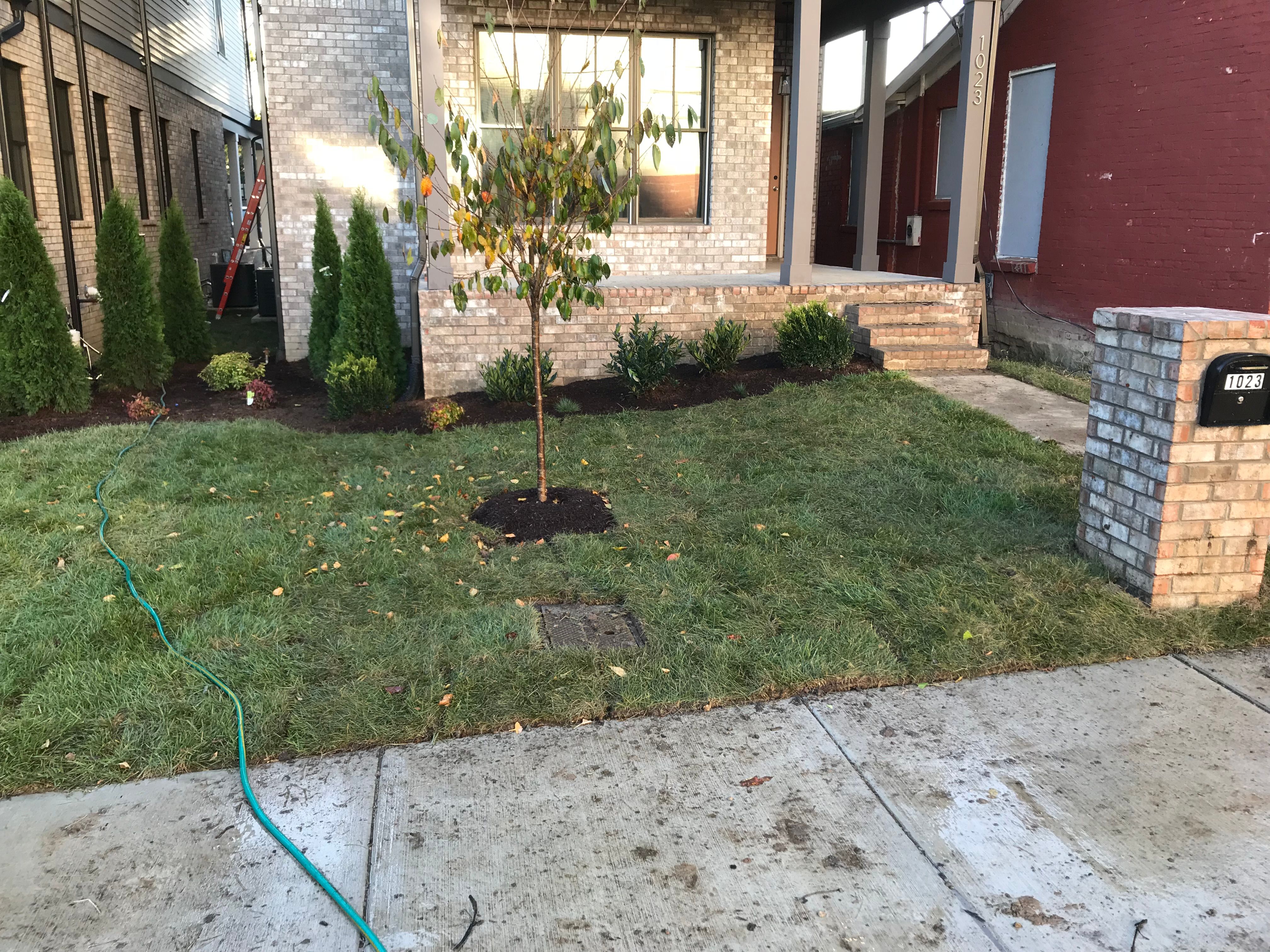  for Grass Management in Nashville, TN