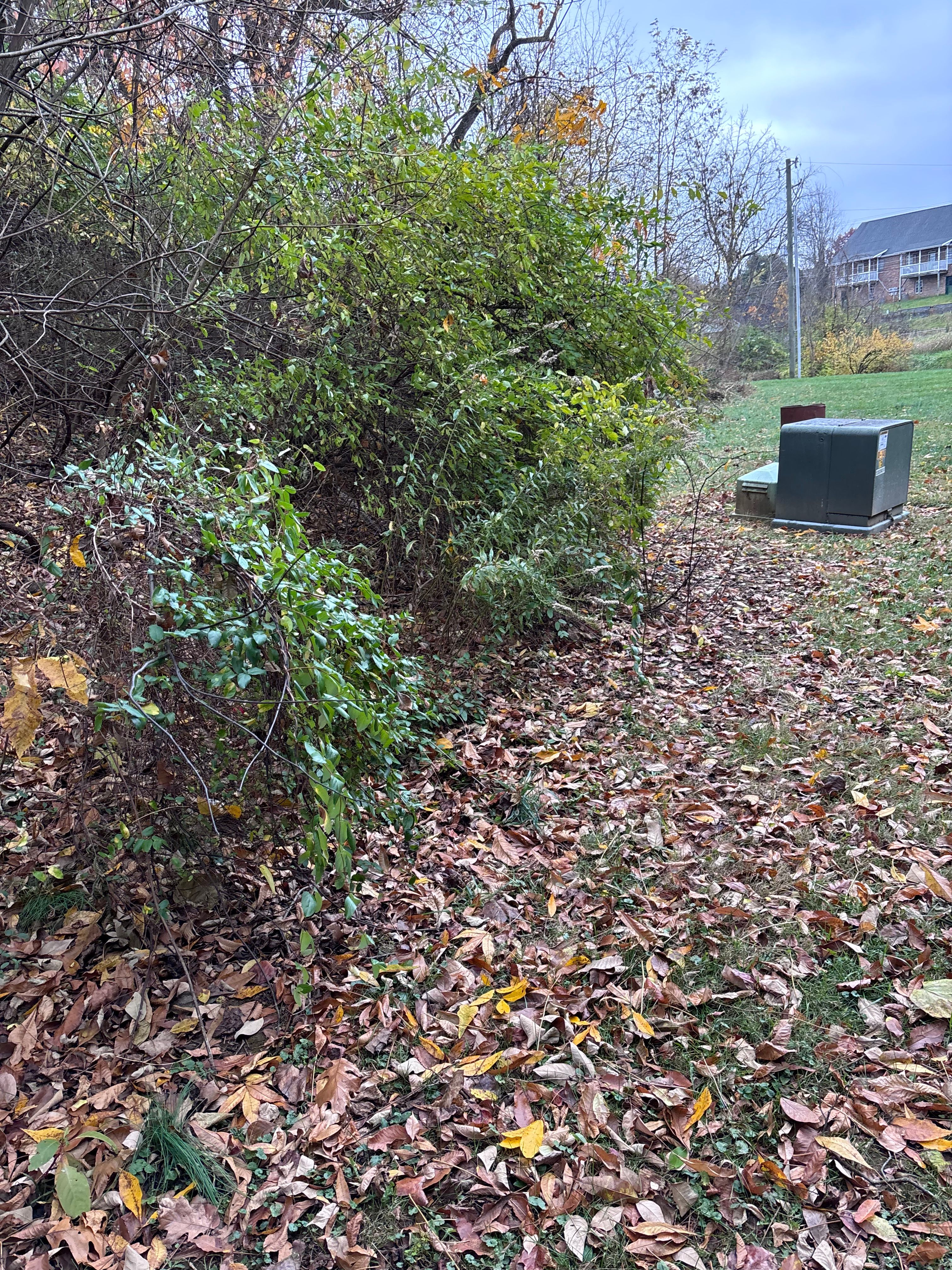  for Everything Outdoors in Abingdon, VA