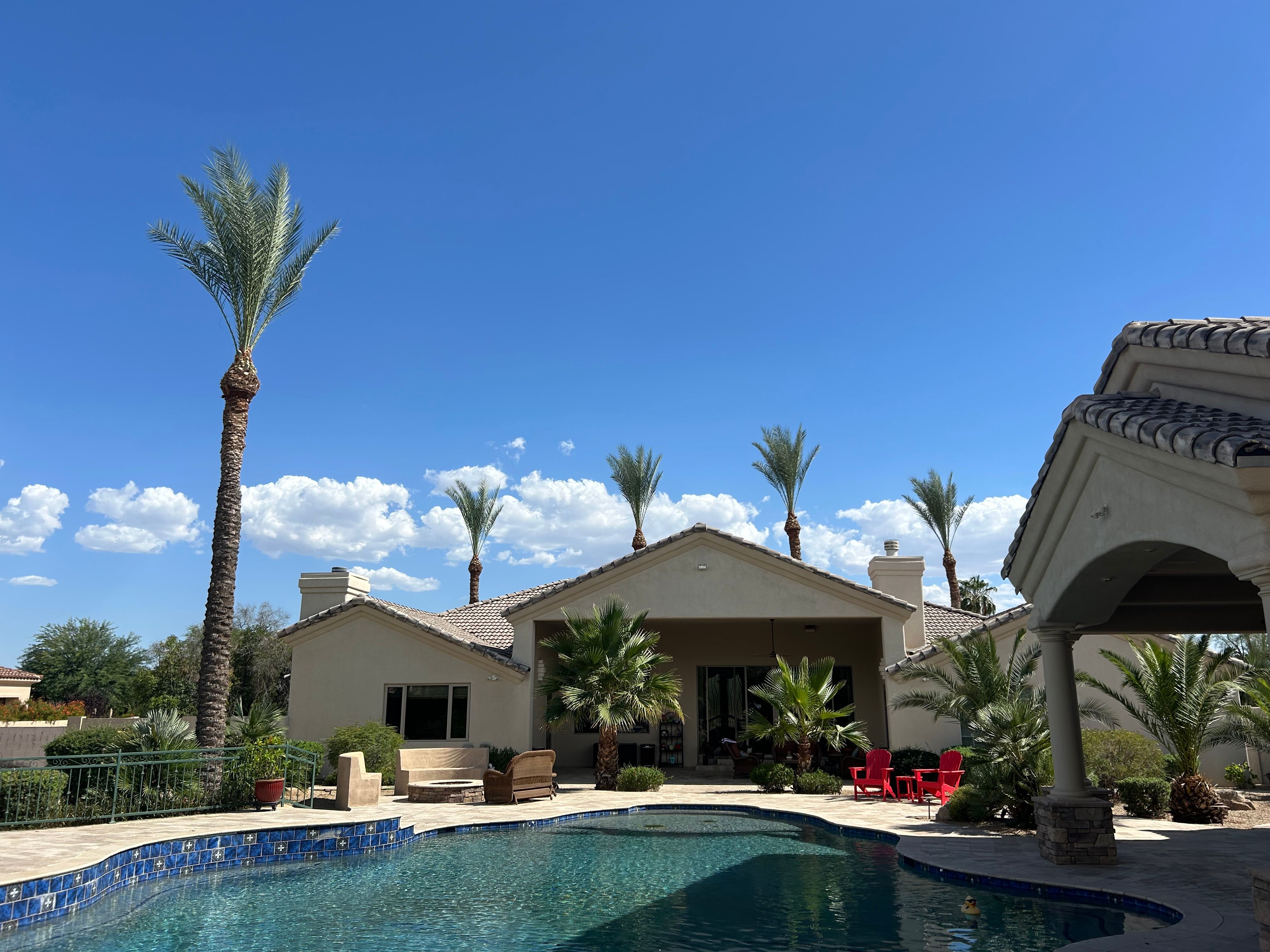  for Copperhead Solution in Phoenix, Arizona
