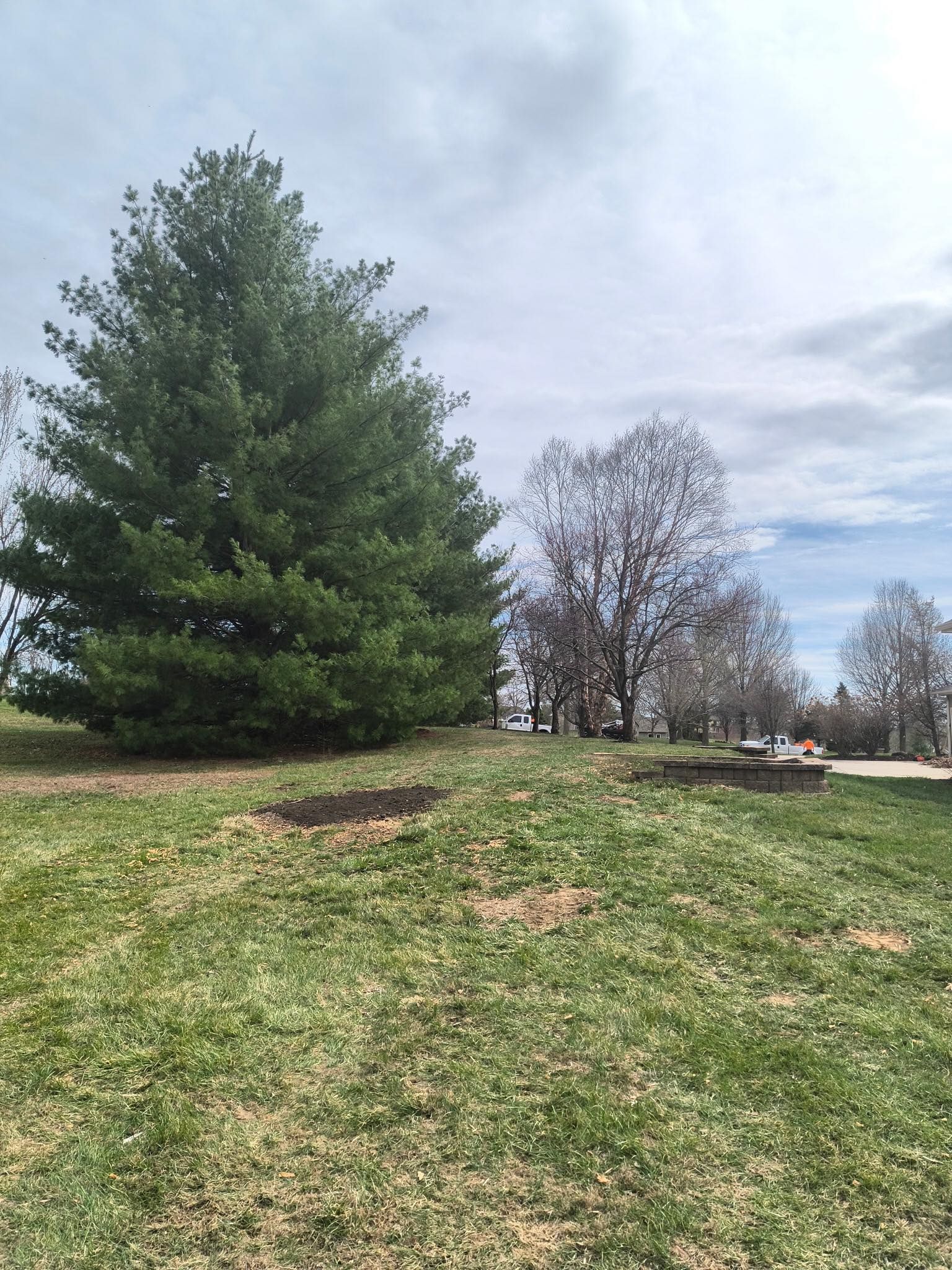 Tree Removal for Cross Family Tree Service in Kearney, MO