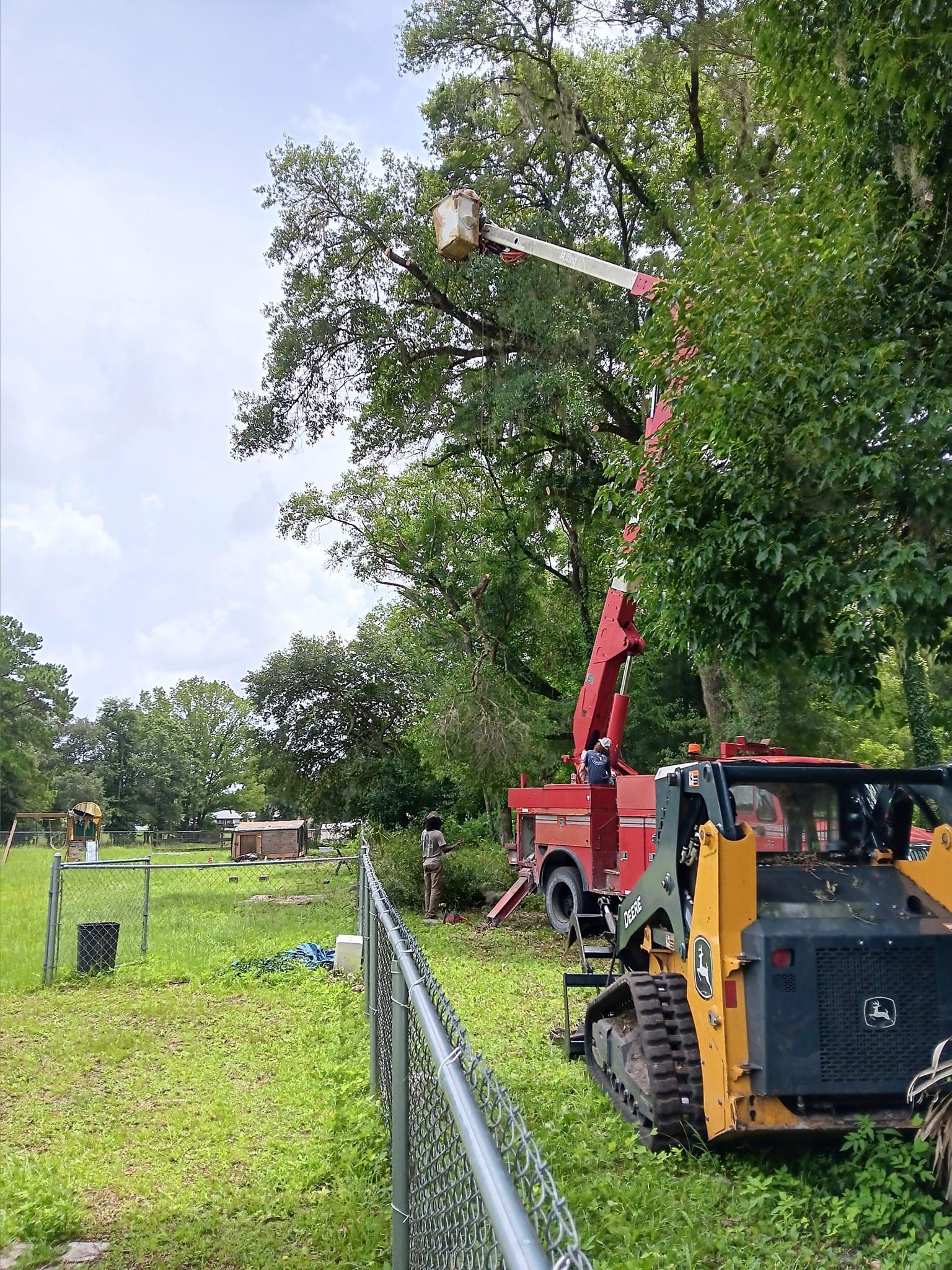 Tree Removal for Asbell's Tree & Land Services in Gilchrist County, FL