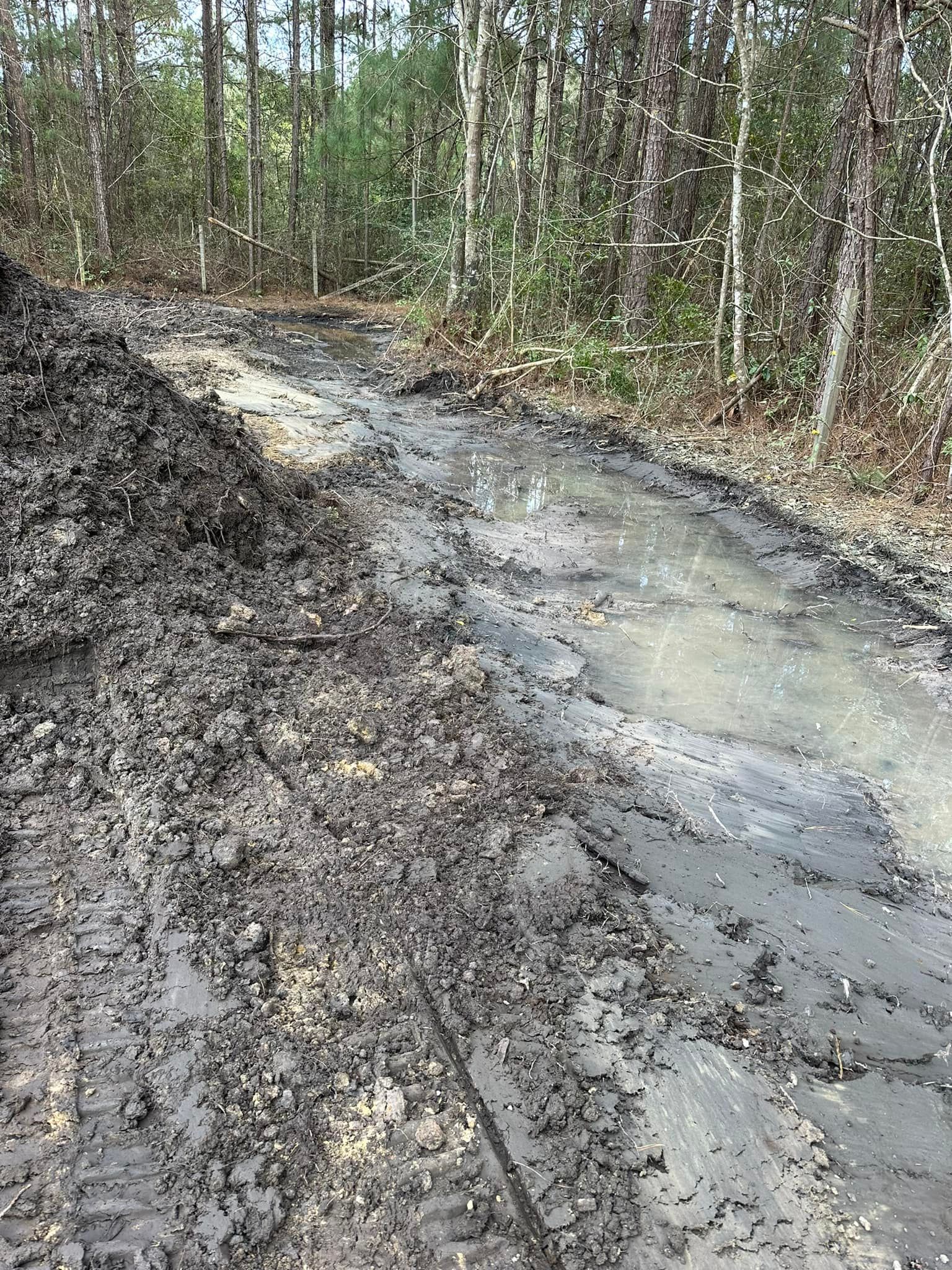 All Photos for Carolina Odd Jobs Inc. in Sneads Ferry, NC
